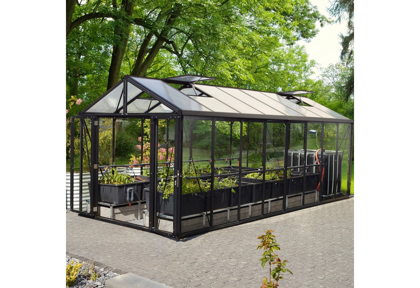 Vitavia Gewächshaus Zeus Comfort 15700,... Vitavia Gewächshaus Zeus Comfort 15700,...