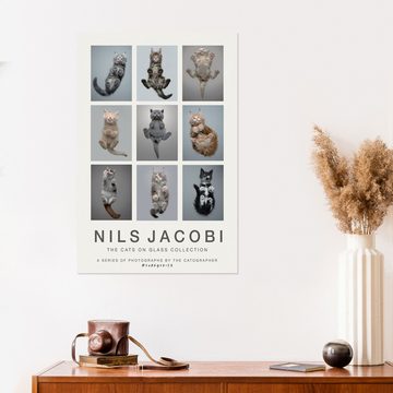 Posterlounge Wandfolie FurryFritz - Nils Jacobi, The Cats on Glass Collection, Wohnzimmer Modern Kindermotive