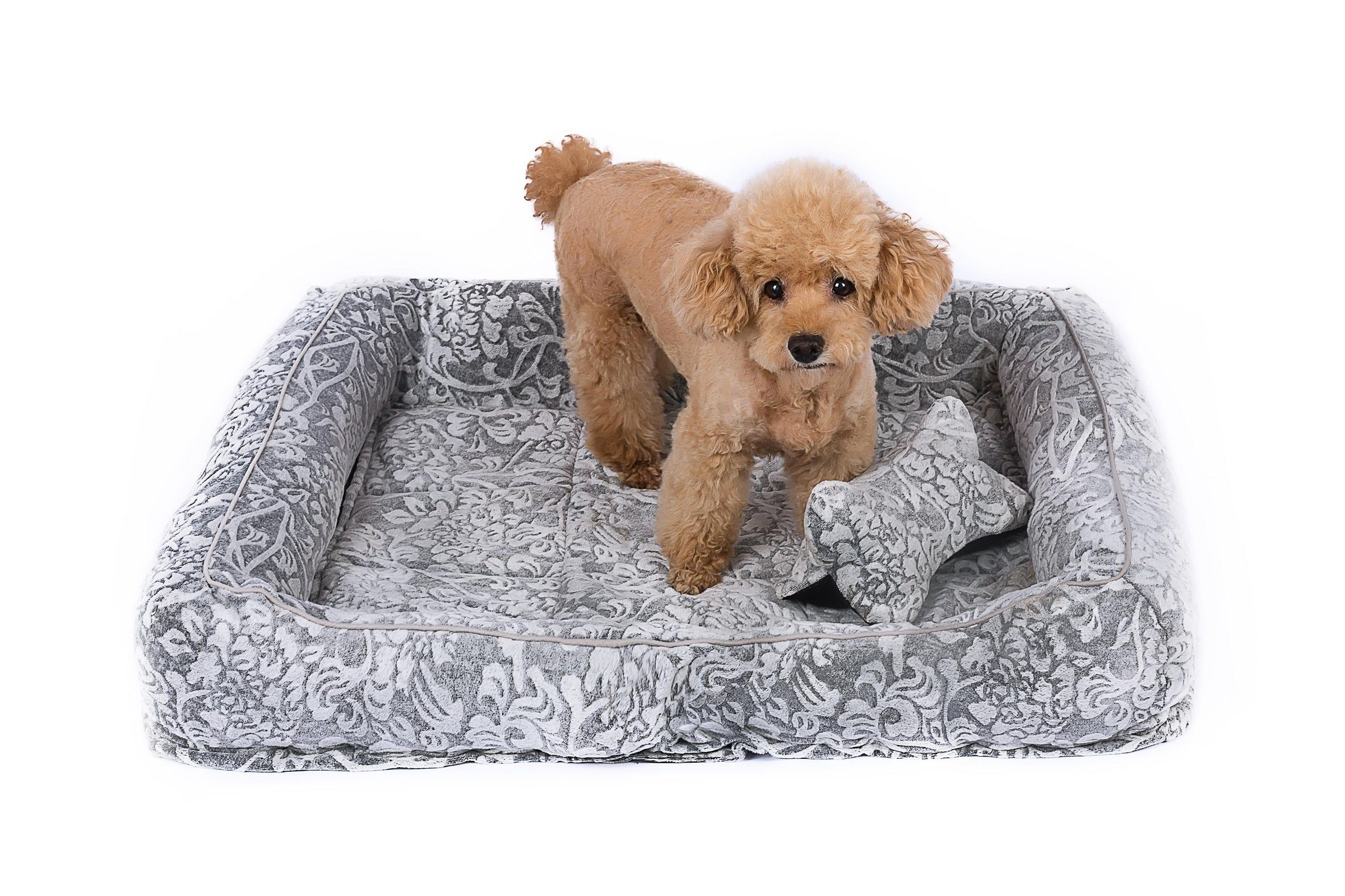 RAIKOU Hundematte Hundebett mit Abnehmbarem Kissen, günstig online kaufen