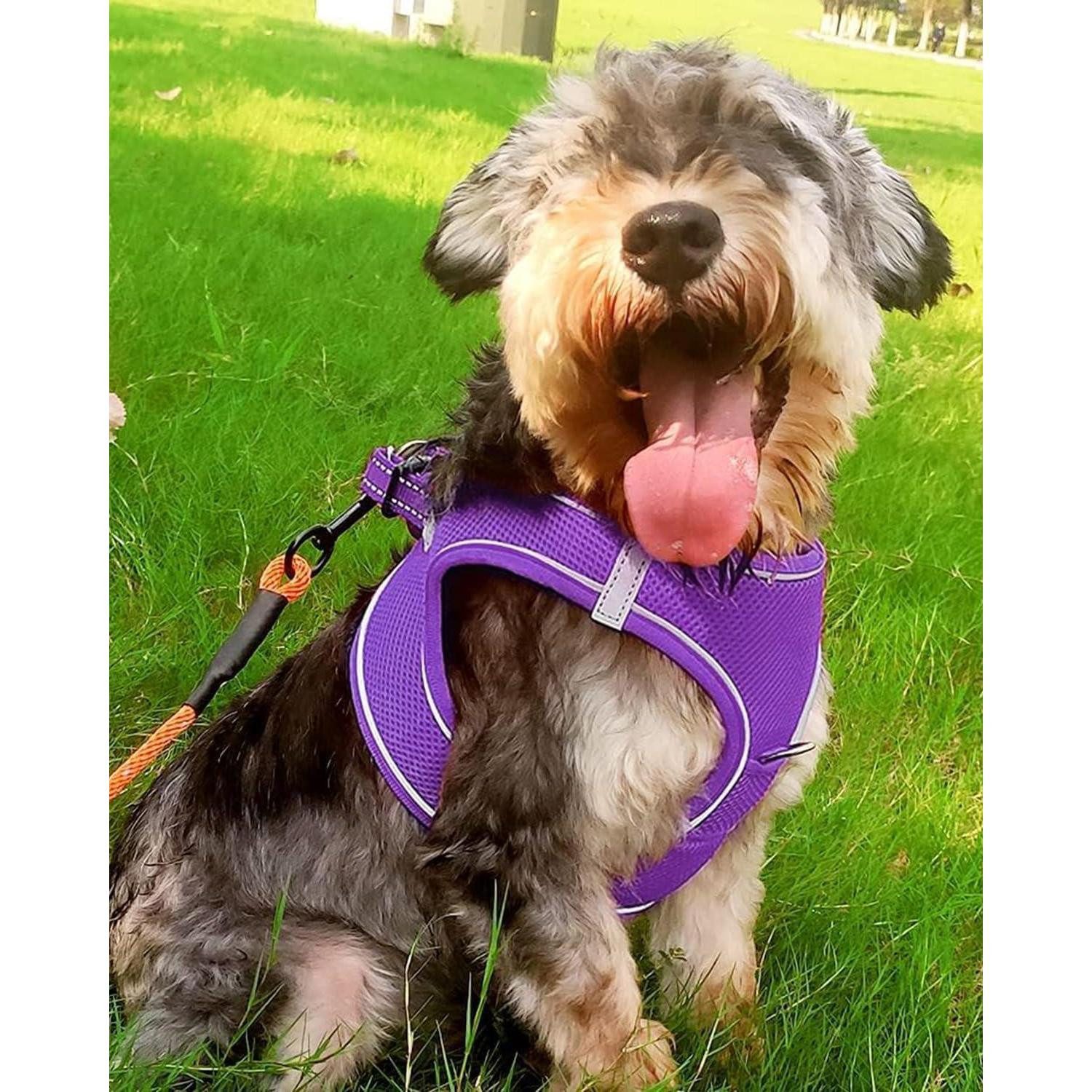 LuxusKollektion Hunde-Geschirr Hundegeschirr Brustgeschirr Reflektierend Mesh L-Brust:47-55cm Lila