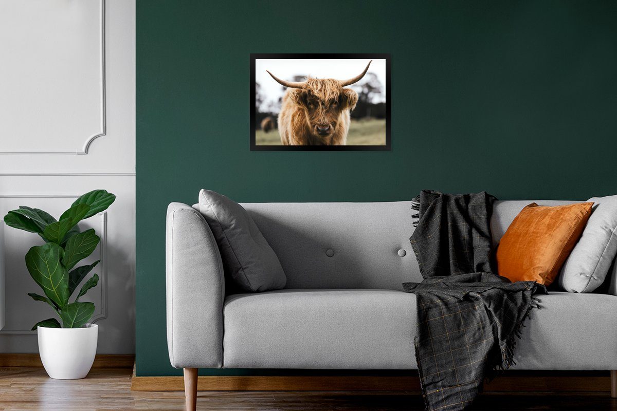 MuchoWow Poster Schottischer Gerahmtes Schwarzem - St), Highlander Gras Bilder, (1 Bilderrahmen Natur, - - - Wanddeko, Poster, Tiere Kuh Wandposter