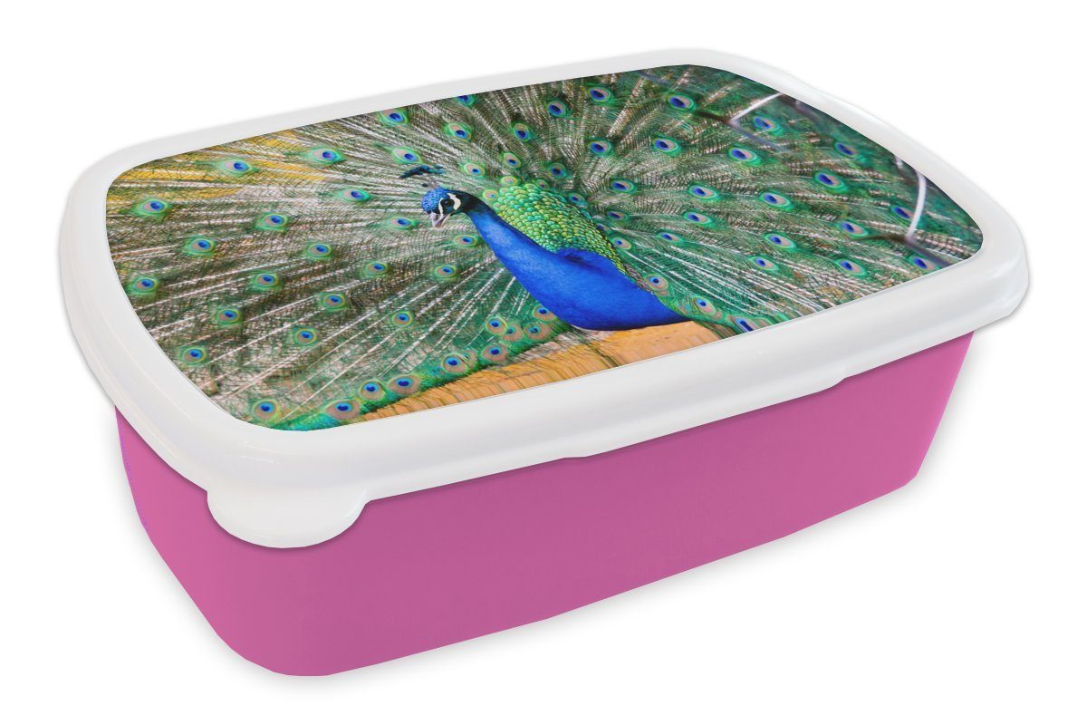 MuchoWow Lunchbox Pfauenfedern - Blau - Grün, Kunststoff, (2-tlg), Brotbox für Erwachsene, Brotdose Kinder, Snackbox, Mädchen, Kunststoff rosa