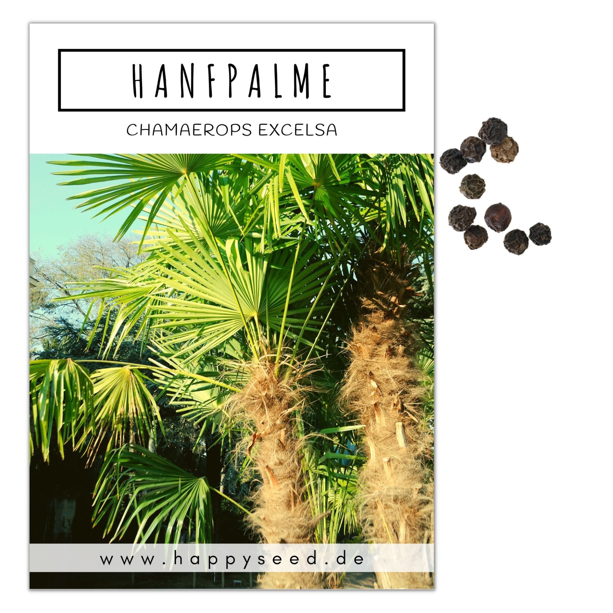 HappySeed Blumensamen Hanfpalme Samen - Chamaerops excelsa, Blumen günstig online kaufen