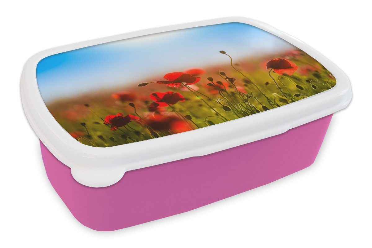 MuchoWow Lunchbox Mohnblumen unter einem klaren blauen Himmel., Kunststoff, (2-tlg), Brotbox für Erwachsene, Brotdose Kinder, Snackbox, Mädchen, Kunststoff rosa