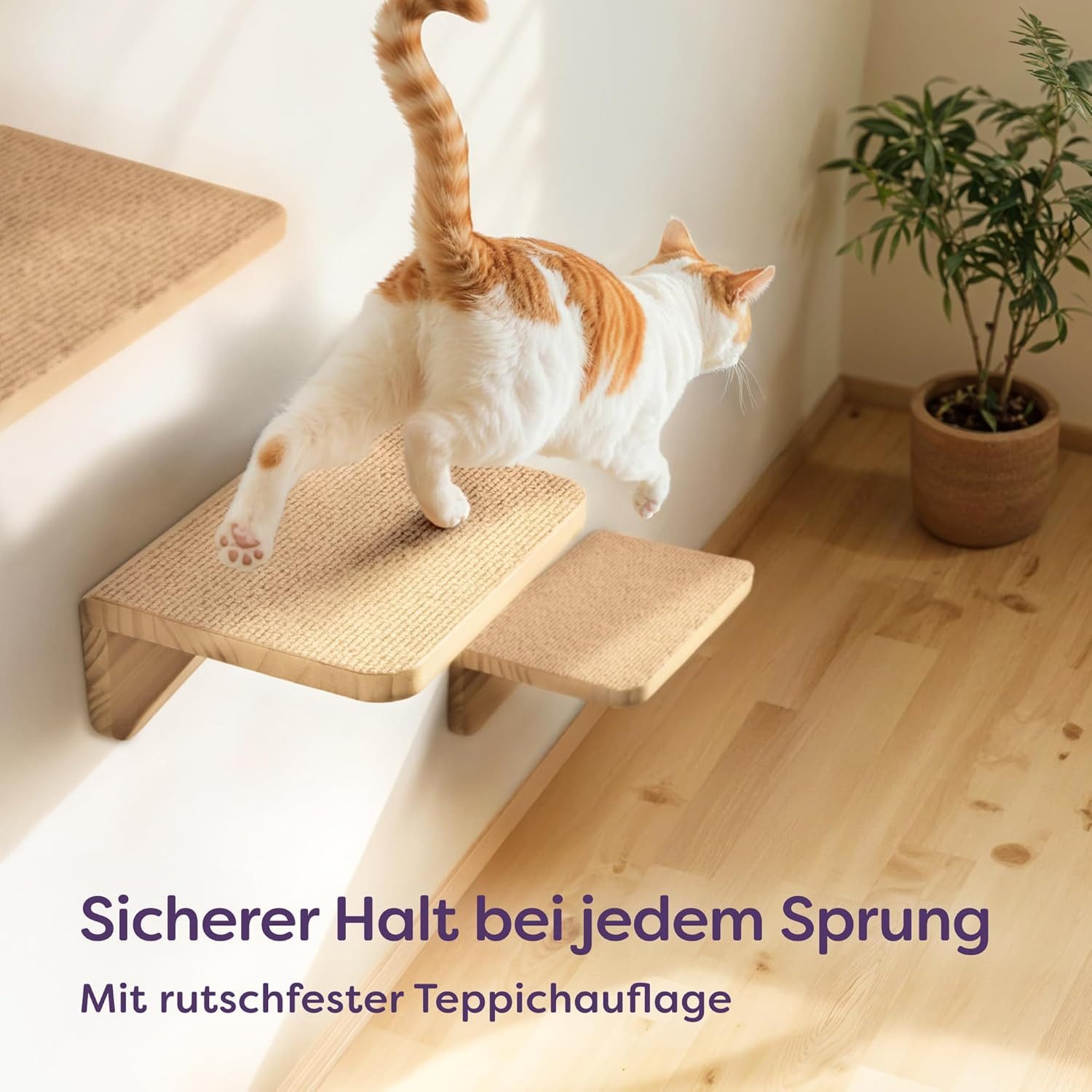 Knupis Kratzbaum Katzen Spiel Kletterwand 3er Set – FSC® Kiefernholz - Katzentreppe, Rutschfestes Vlies - Einfache Montage - Hohe Belastbarkeit bis 30kg