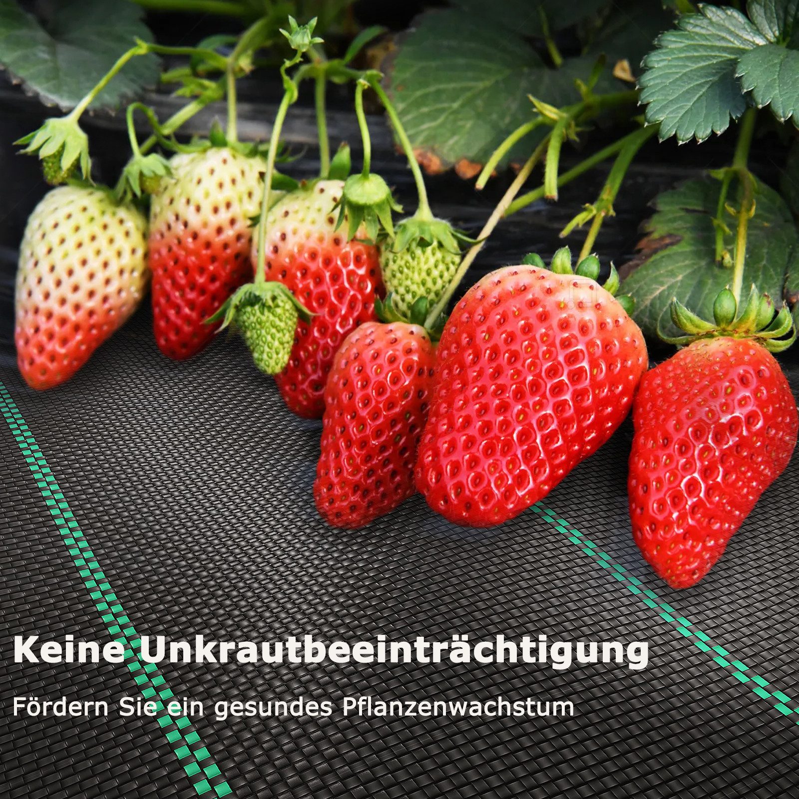 OUNUO Unkrautvlies 90g/m² Unkrautvlies Gartenvlies Unkrautfolie 3m breit, 3x25 Meter Rolle