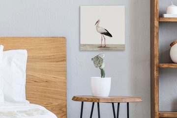 OneMillionCanvasses® Leinwandbild Storch - Vogel - Tiere - Jungen - Kinder - Mädchen, (1 St), Leinwand Bilder für Wohnzimmer Schlafzimmer