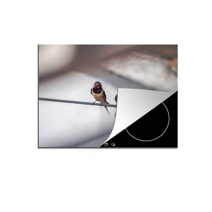 MuchoWow Herdblende-/Abdeckplatte Vögel - Schwalbe - Kabel Vinyl (1 tlg) induktionskochfeld Schutz für die küche Ceranfeldabdeckung