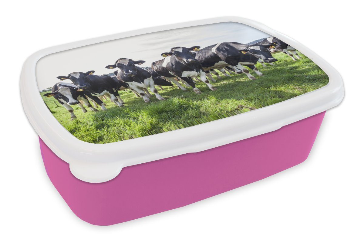 MuchoWow Lunchbox Kühe - Licht - Frühling, Kunststoff, (2-tlg), Brotbox für Erwachsene, Brotdose Kinder, Snackbox, Mädchen, Kunststoff rosa