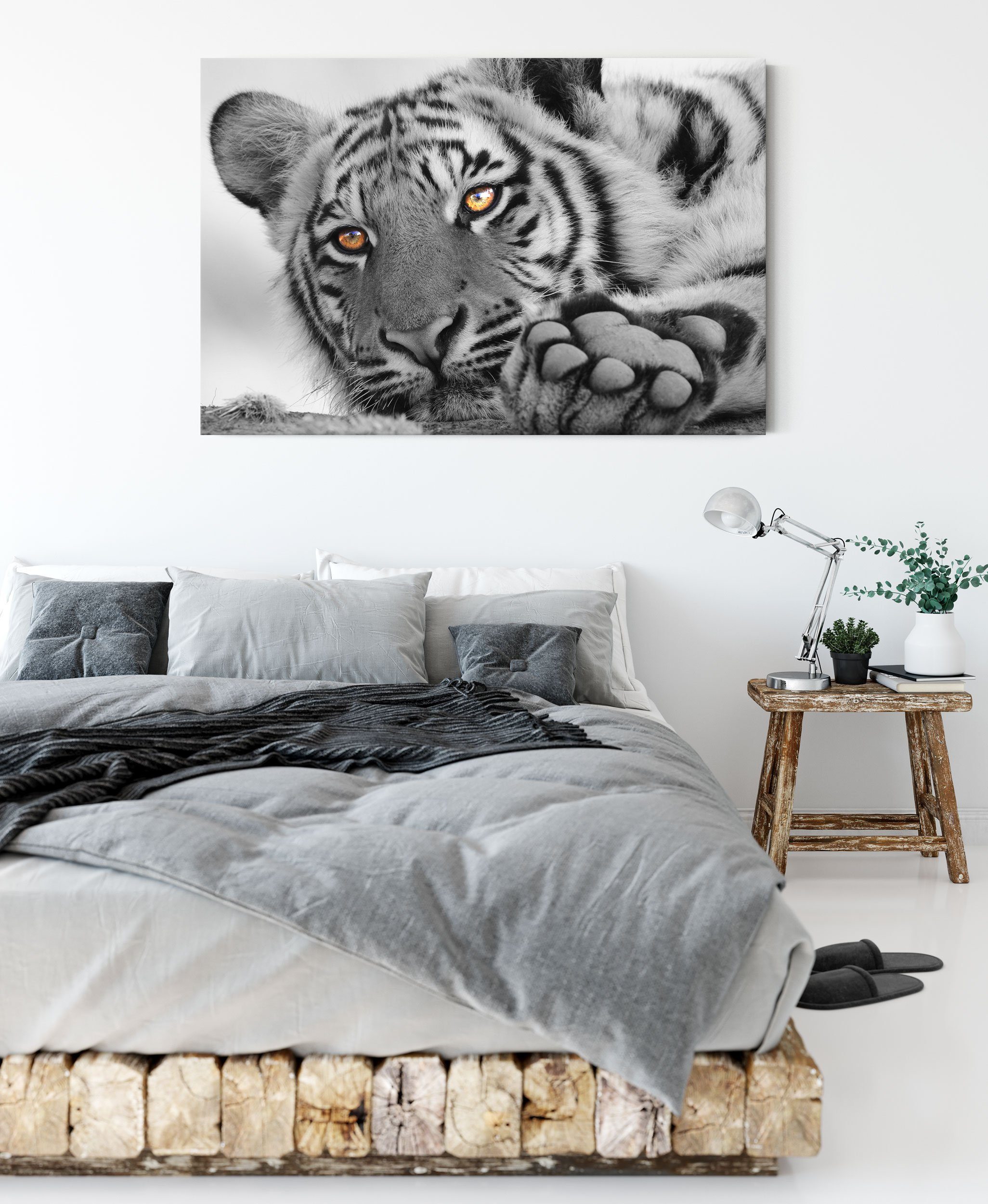 Leinwandbild bespannt, fertig Zackenaufhänger entspannter entspannter Tiger, St), Leinwandbild Pixxprint inkl. (1 Tiger