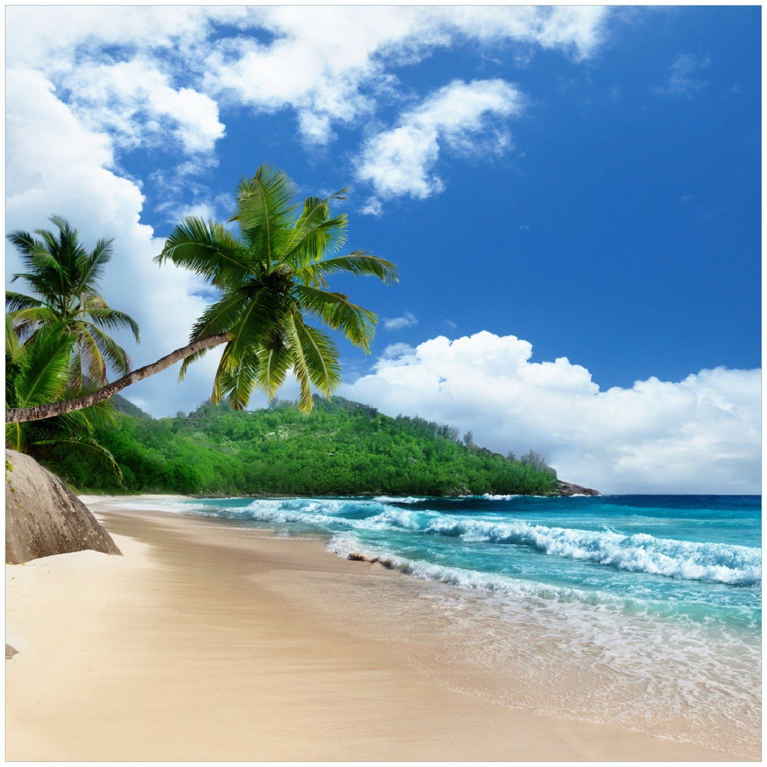 Wallario Memoboard Urlaub auf den Palmen Seychellen am Sandstrand unter