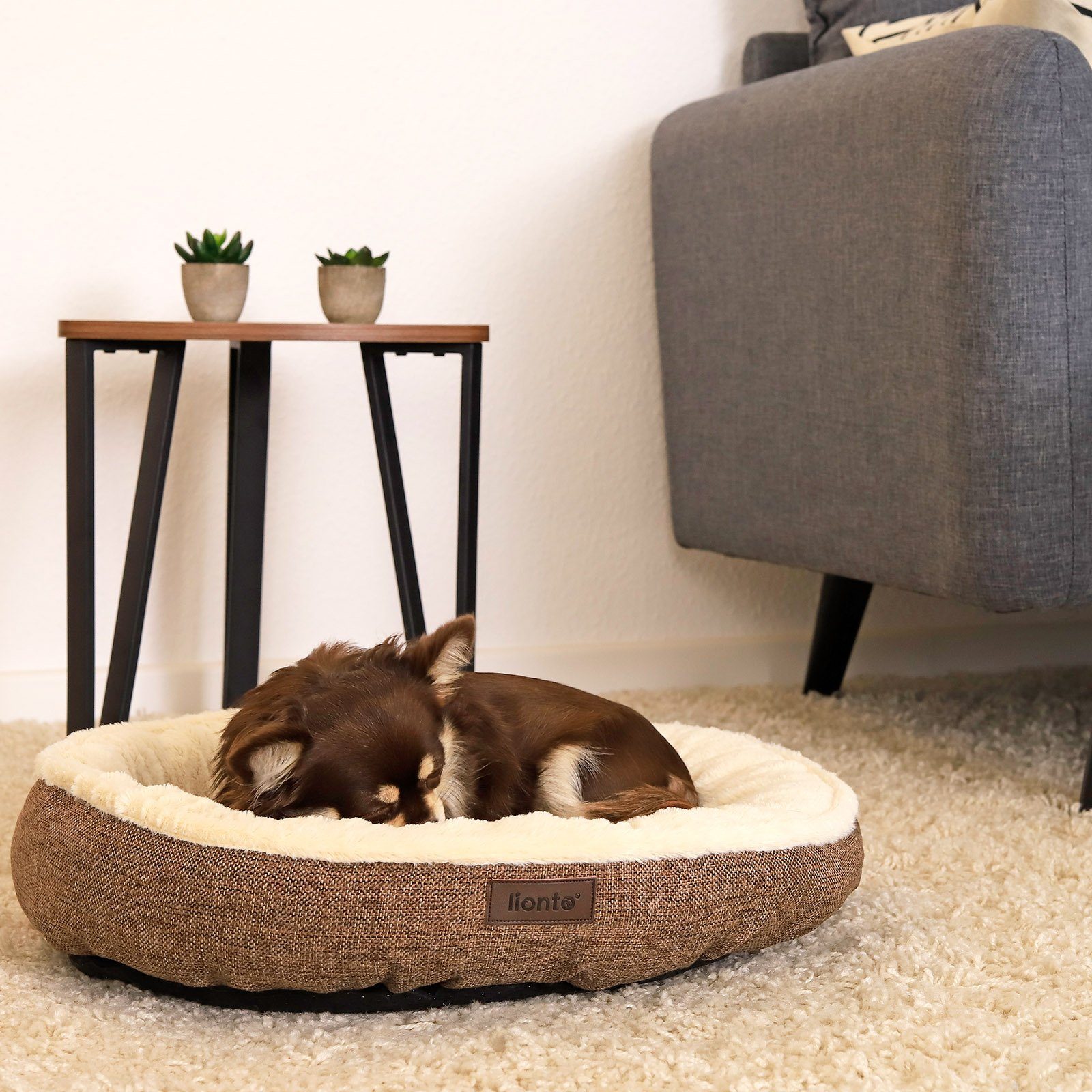 lionto Tierkissen Rundes Hundebett in Donutform, günstig online kaufen