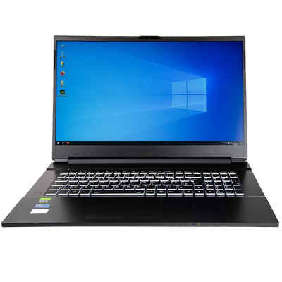 dcl24.de Gaming-Notebook (43,90 cm/17.3 Zoll, Intel Core i5 Intel Core i5-10300H, RTX 3060, 2000 GB SSD, WLAN, Windows 11 Pro)
