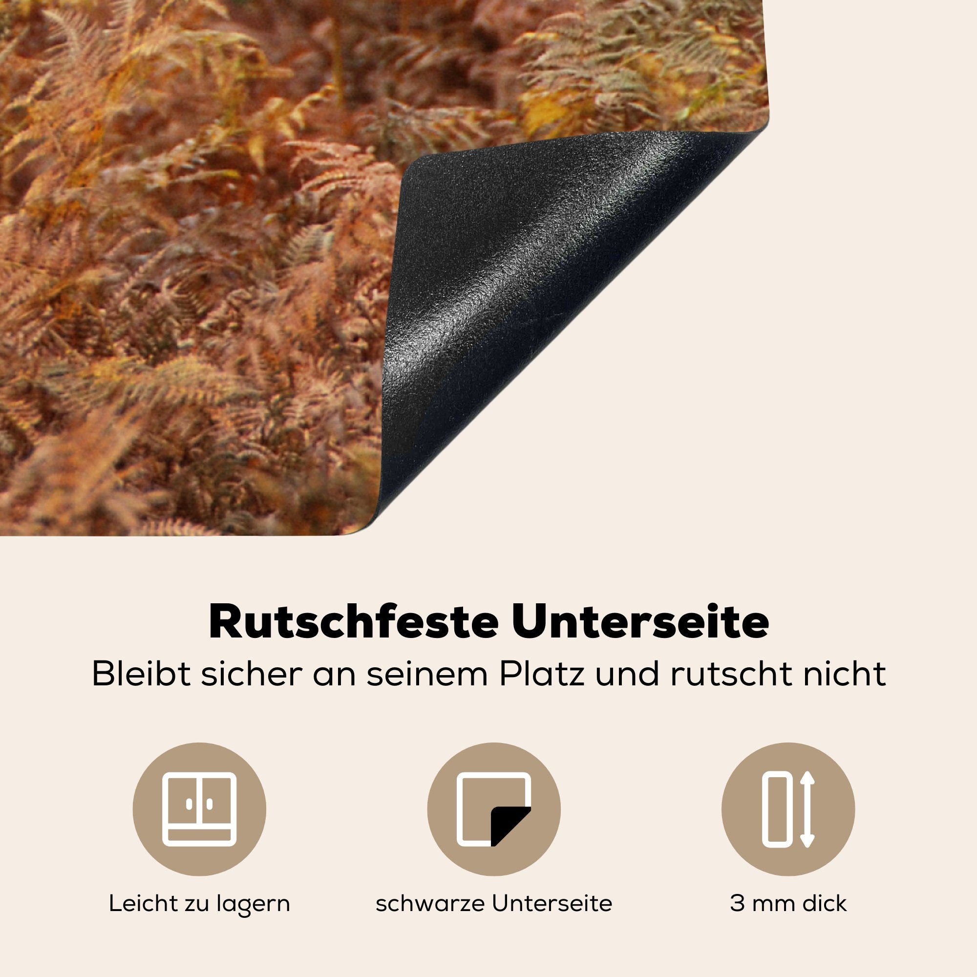 (1 Hirsch 78x78 küche für Vinyl, MuchoWow - Arbeitsplatte Baum Herbst, Ceranfeldabdeckung, cm, - Herdblende-/Abdeckplatte tlg),