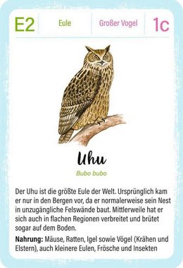 Moses. Verlag Spiel, Expedition Natur Quartett Vögel