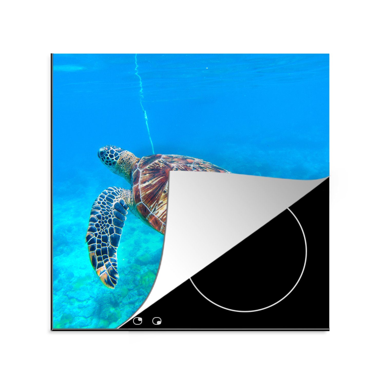 MuchoWow Herdblende-/Abdeckplatte Meer - Schildkröte - Wasser, Vinyl, (1 tlg), 78x78 cm, Ceranfeldabdeckung, Arbeitsplatte für küche
