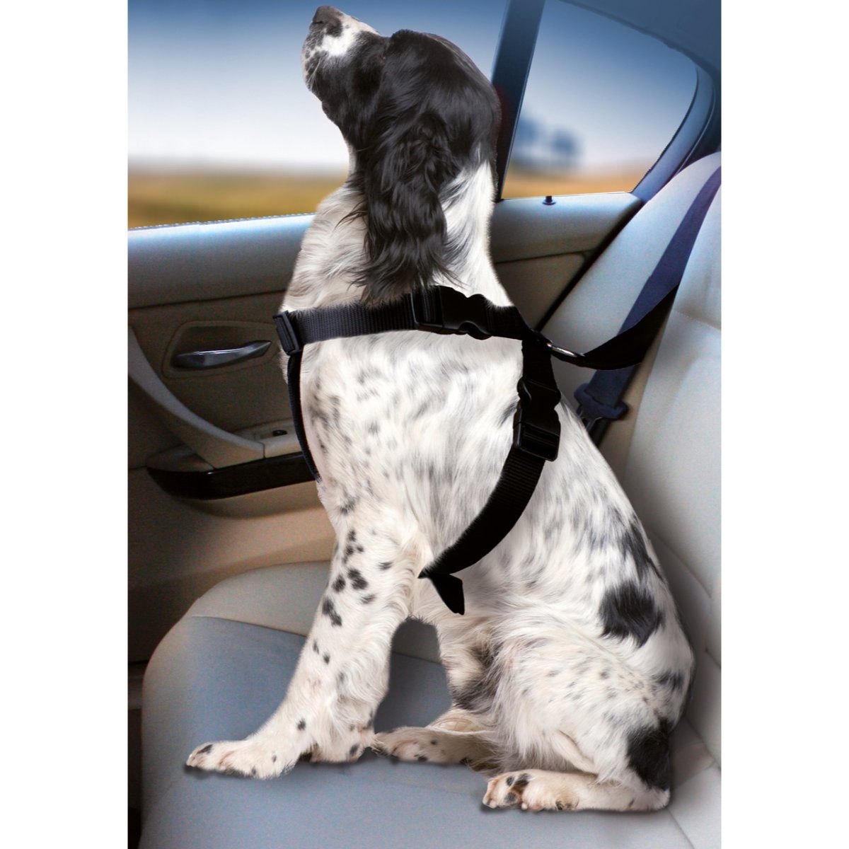 Autohundegeschirr Autohundegeschirr