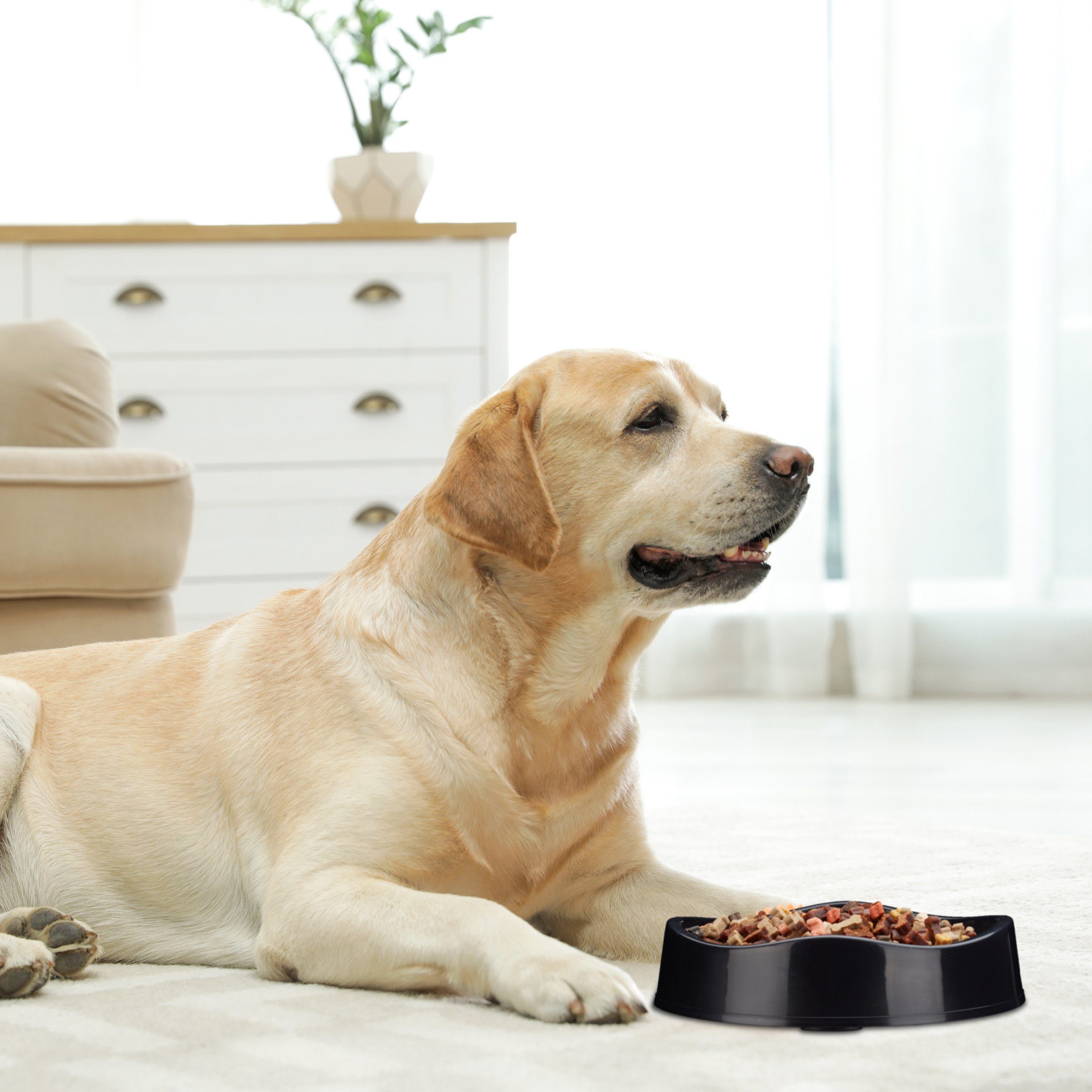 relaxdays Antischlingnapf Anti Schling Napf Hund, schwarz