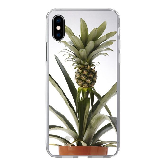 MuchoWow Handyhülle Ananaspflanze - Topf - Licht Handyhülle Apple iPhone Xs Smartphone-Bumper Print Handy
