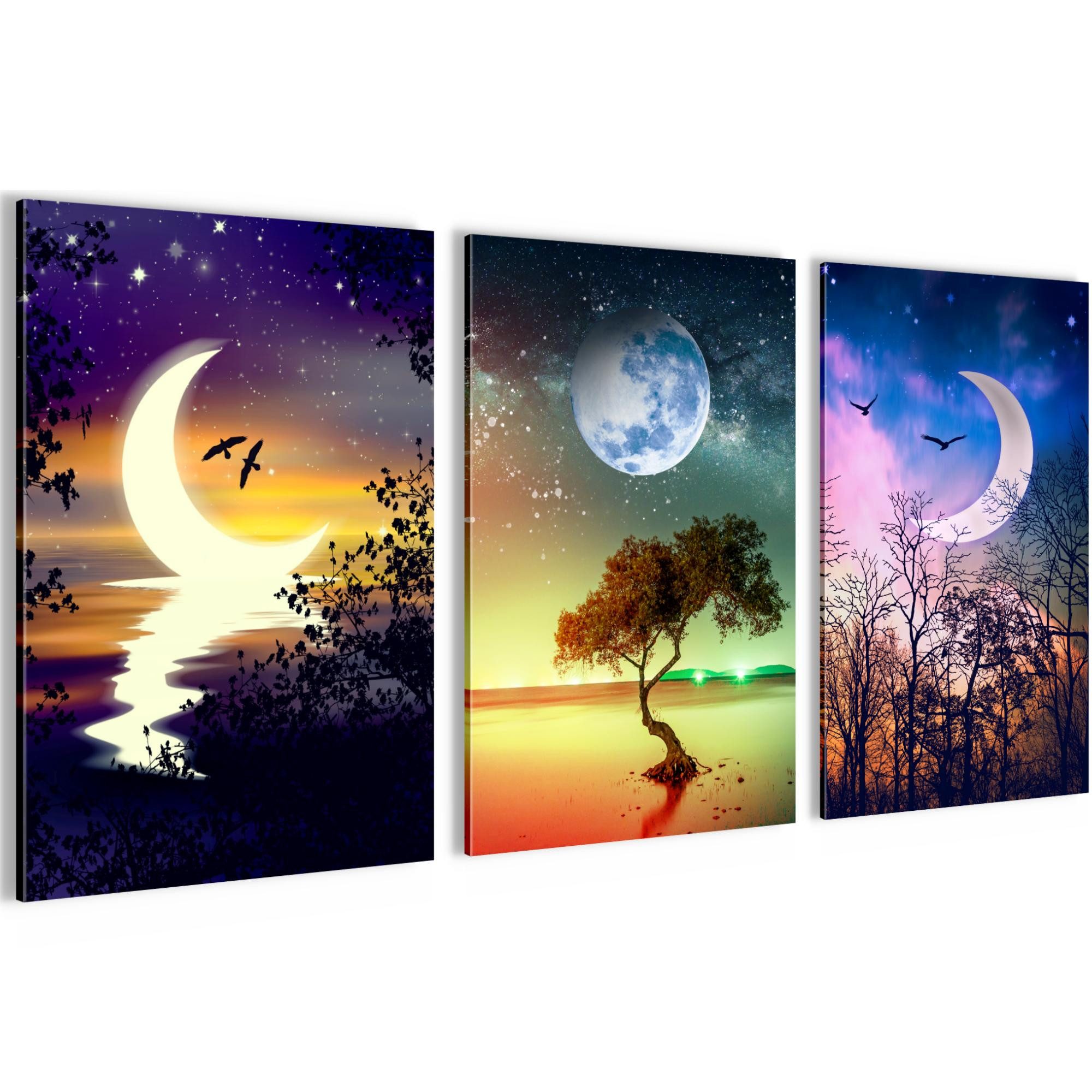 Novart Wandbild Bilder Natur Nacht AUFHÄNGFERTIG für Flur Deko Bunt N0361, 40 x 60 cm - 3 Bilder