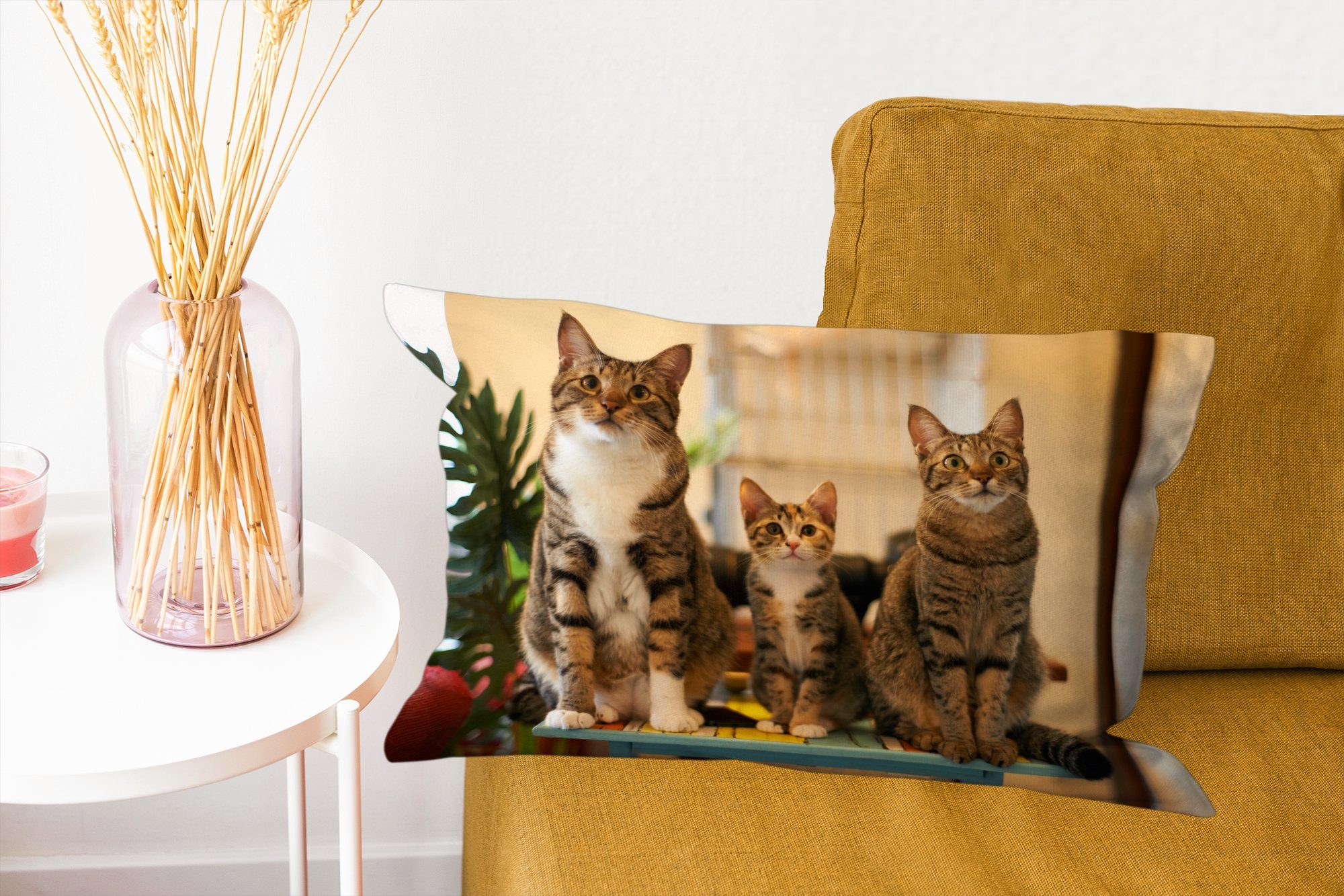 MuchoWow Dekokissen Drei Katzen Dekoration, kleinem Füllung, Tisch, mit Dekokissen auf Wohzimmer Schlafzimmer Zierkissen