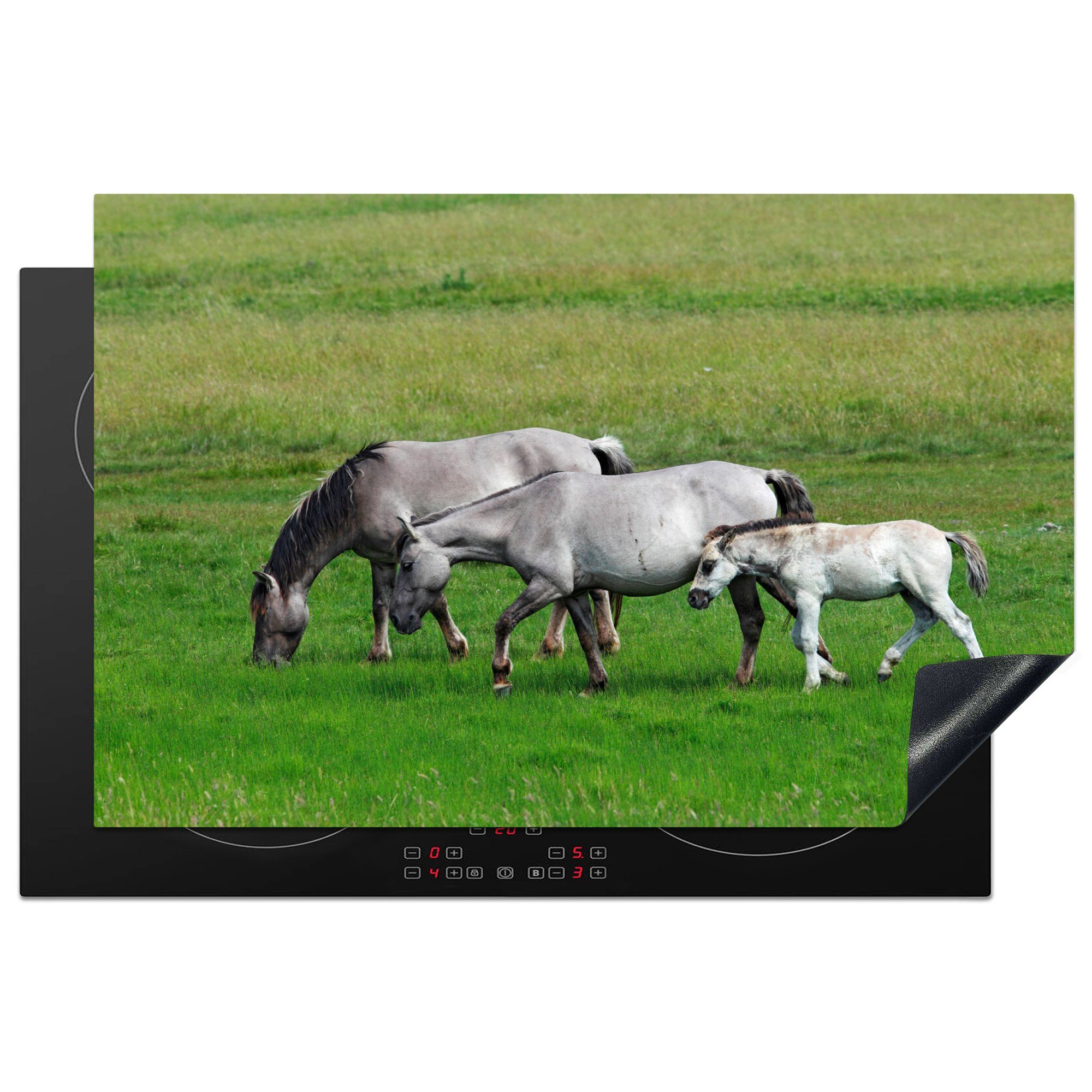 MuchoWow Herdblende-/Abdeckplatte Pferde - Tiere - Gras, Vinyl, (1 tlg), 81x52 cm, Induktionskochfeld Schutz für die küche, Ceranfeldabdeckung