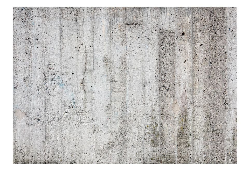 KUNSTLOFT Vliestapete Grey Emperor 1x0.7 m, Tapete halb-matt, lichtbeständige Design