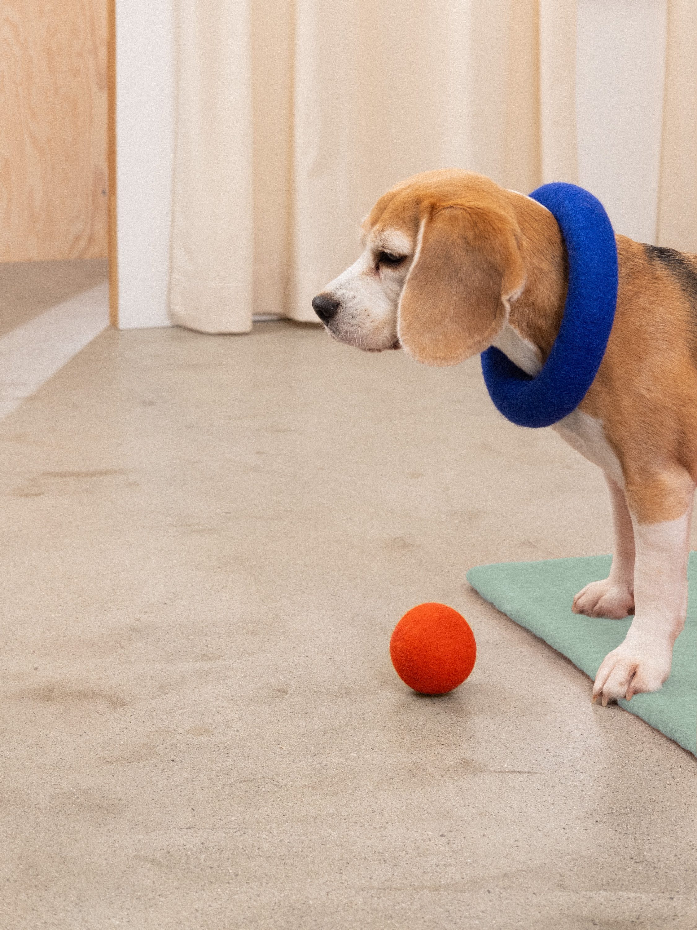 myfelt Tierball Filz Ball Set, reiner Schurwolle, Zweifarbiges Hundeball Set (2-tlg) 7 cm, handgefertigt, Unterstützt die Zahnpflege