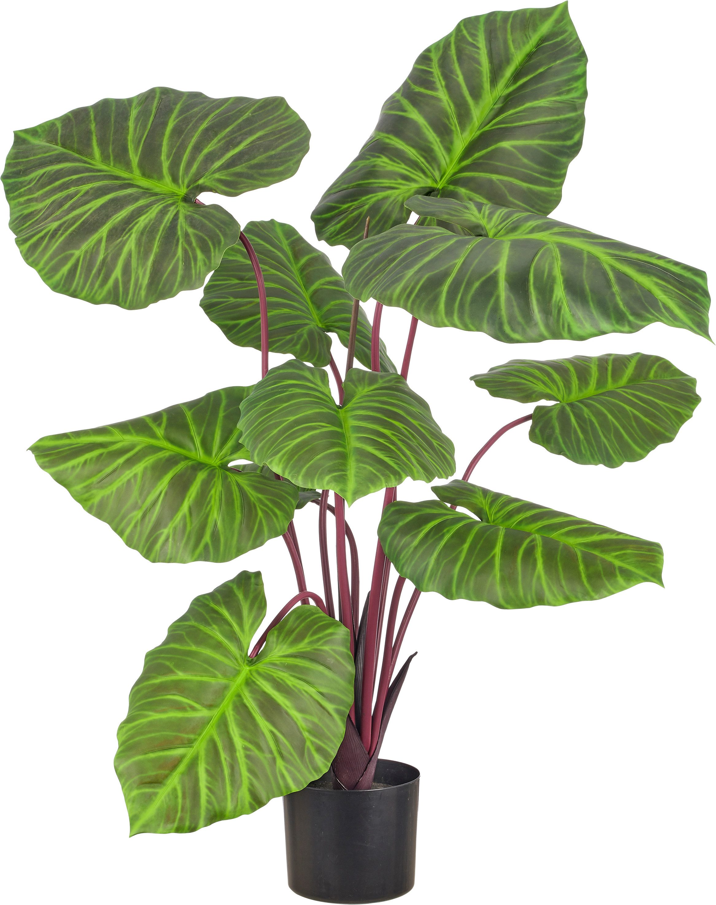 Kunstpflanze Colocasia, Creativ green, Höhe 100 cm, mit traumhaft schönen Blättern