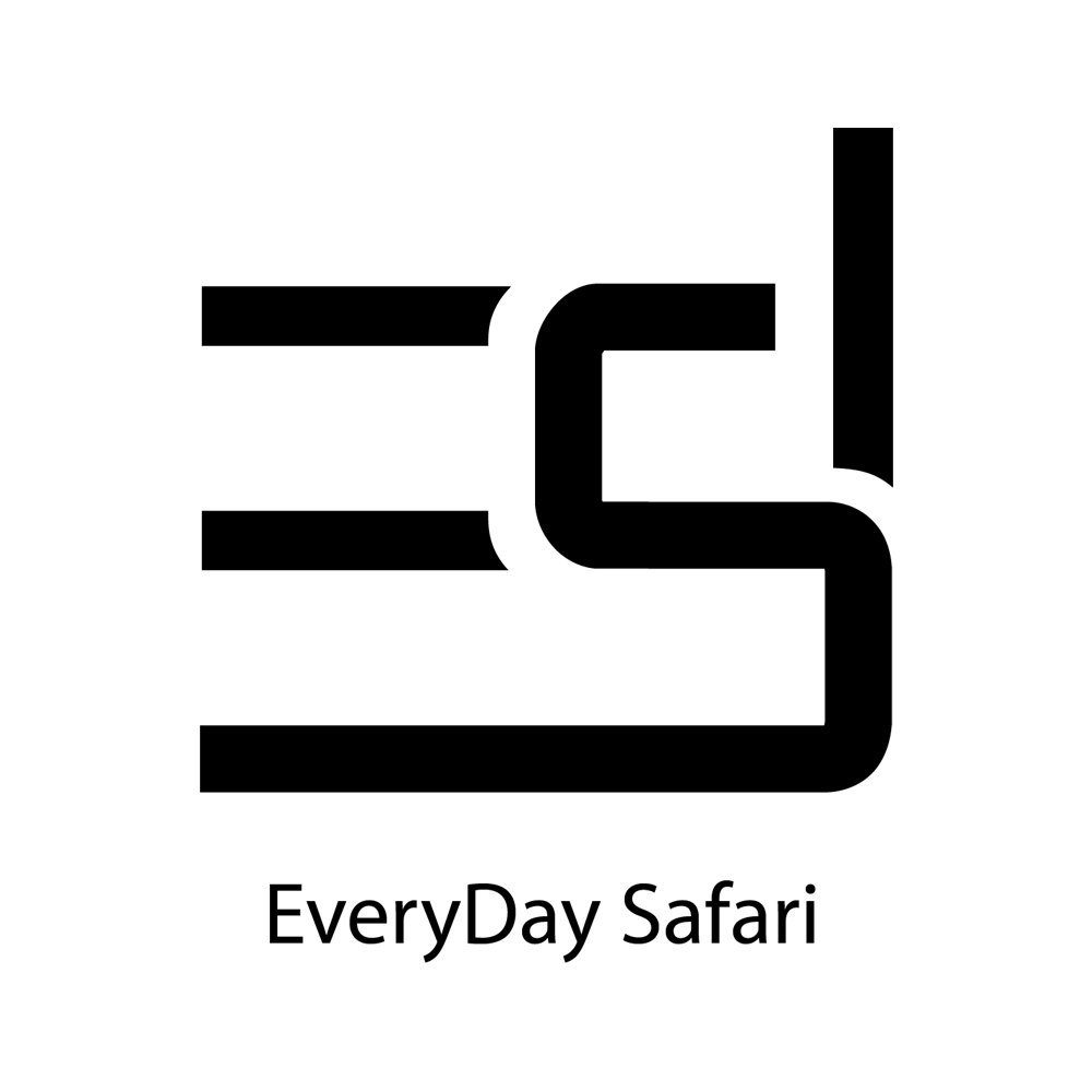 EveryDay Safari