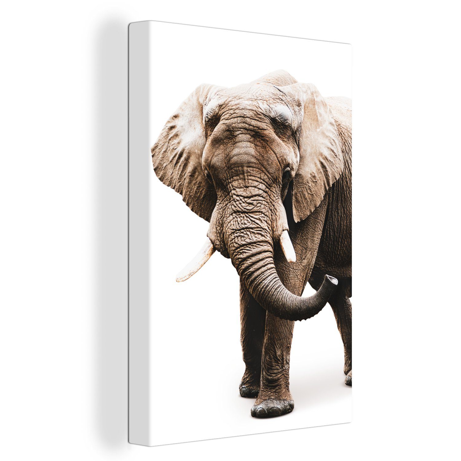 Zackenaufhänger, inkl. cm fertig Gemälde, 20x30 Weiß - bespannt St), Elefant Leinwandbild (1 Leinwandbild OneMillionCanvasses® Tiere, -