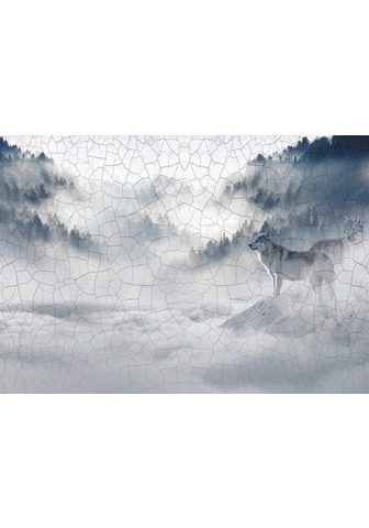 Consalnet Papiertapete »Wolf im Nebel« Motiv