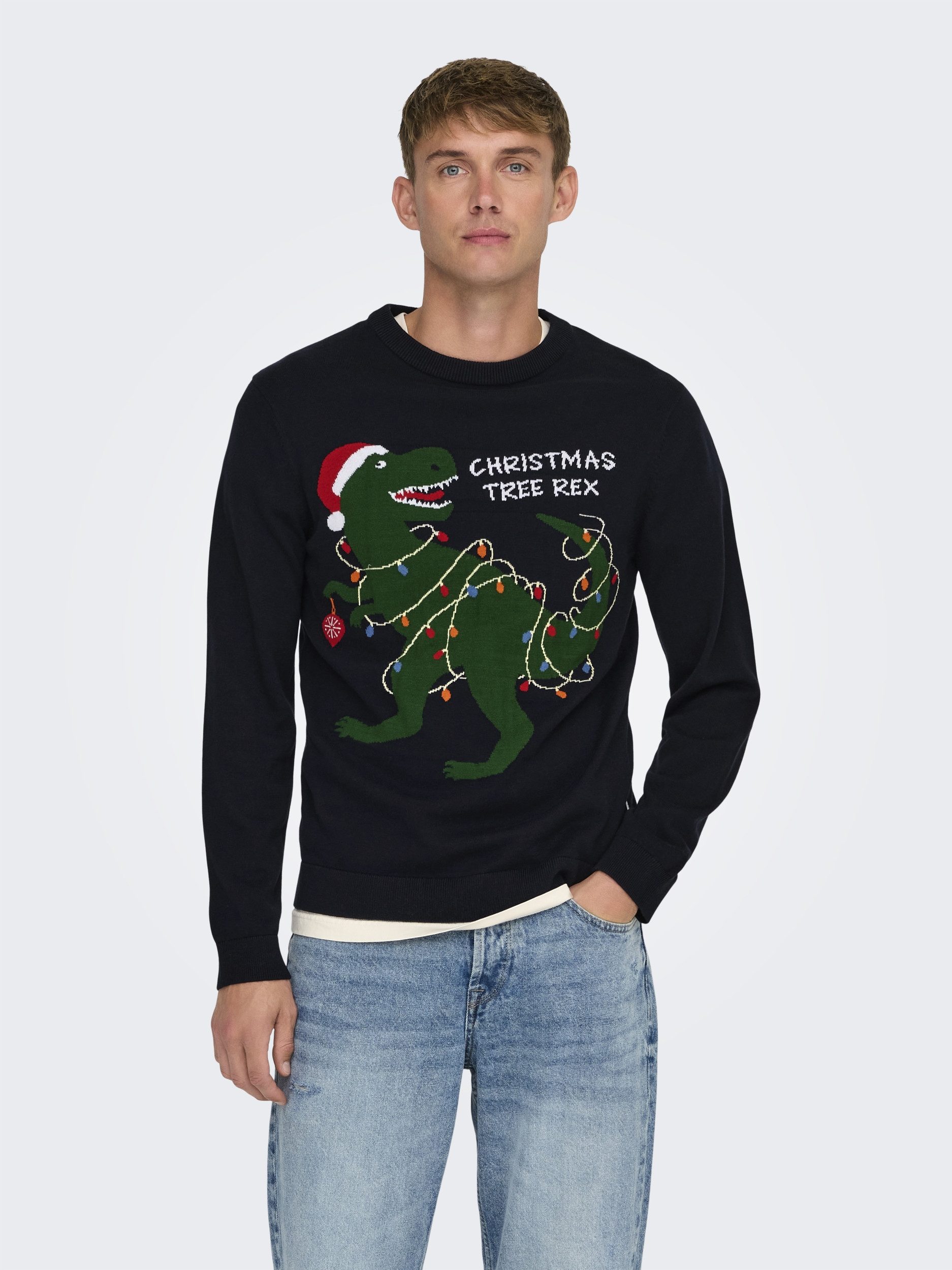 ONLY & SONS Weihnachtspullover ONSXMAS REG 5 PLACE CREW KNIT