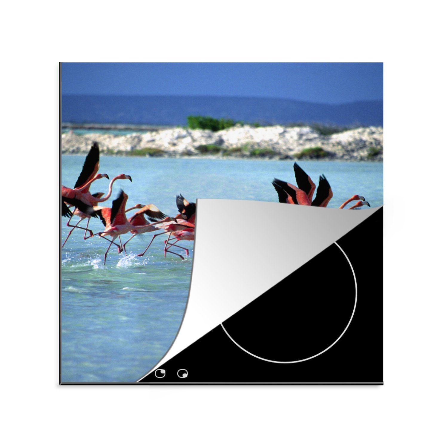 MuchoWow Herdblende-/Abdeckplatte Flamingos auf Bonaire, Vinyl, (1 tlg), 78x78 cm, Ceranfeldabdeckung, Arbeitsplatte für küche