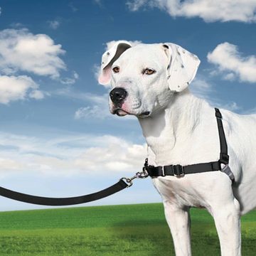PetSafe Hunde-Halsband Hundegeschirr Easy Walk M Schwarz, Nylon