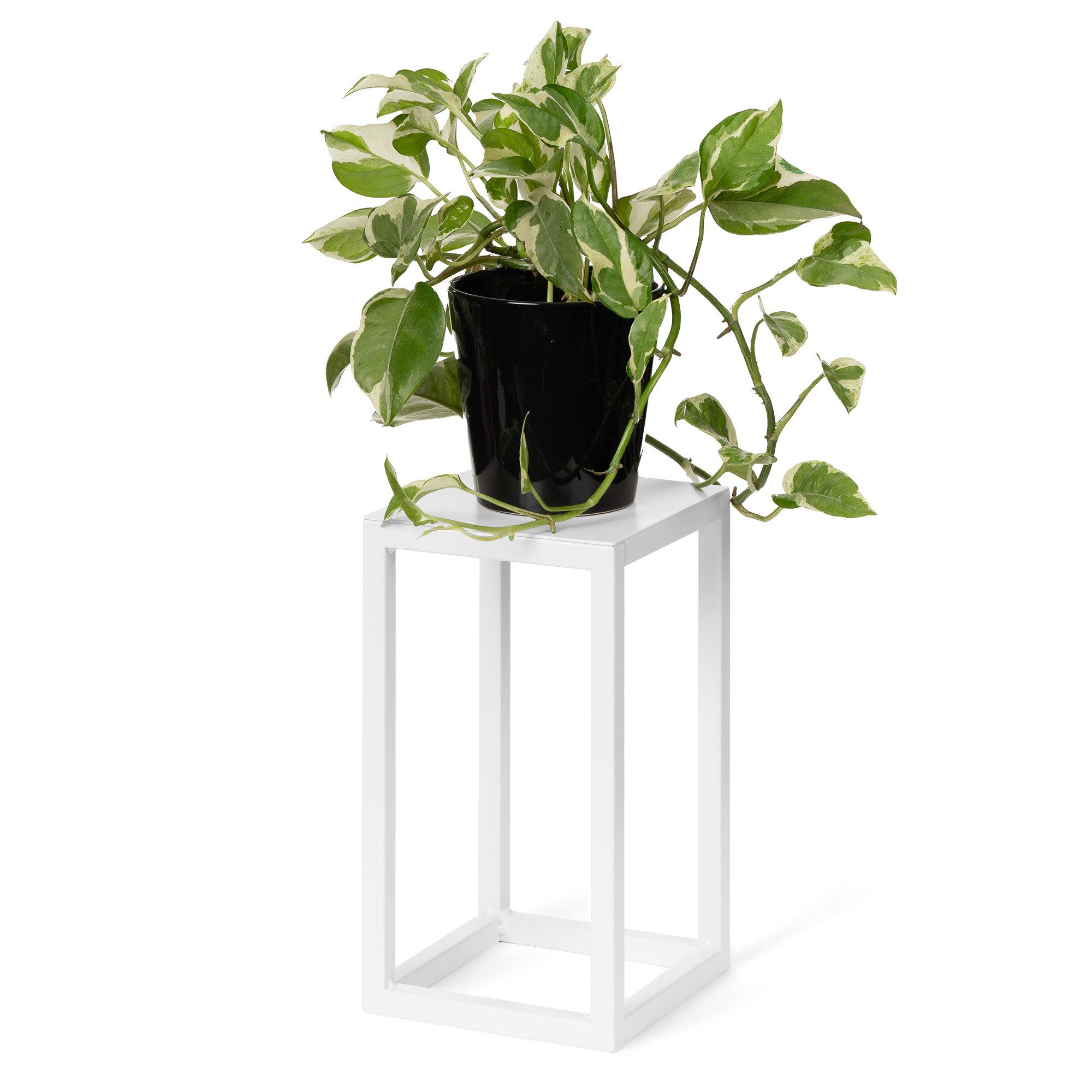 LAMO Manufaktur Blumenständer LAMO Manufaktur Blumenständer Weiß aus Metall günstig online kaufen