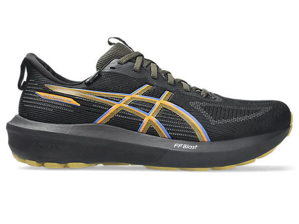 Asics HE GT-1000 14 GTX Laufschuh