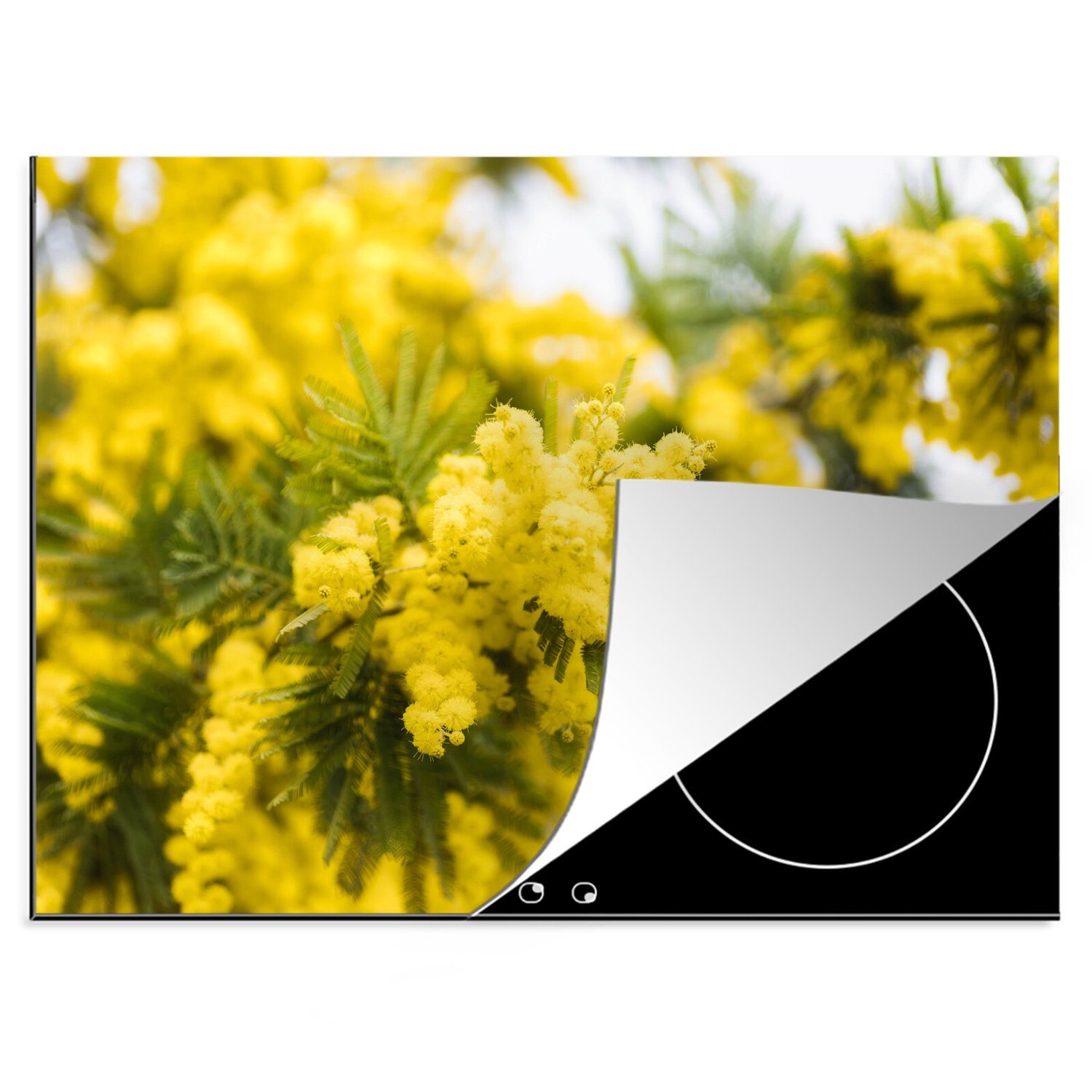 MuchoWow Herdblende-/Abdeckplatte Eine gelbe Mimosenblüte, Vinyl, (1 tlg), 70x52 cm, Mobile Arbeitsfläche nutzbar, Ceranfeldabdeckung