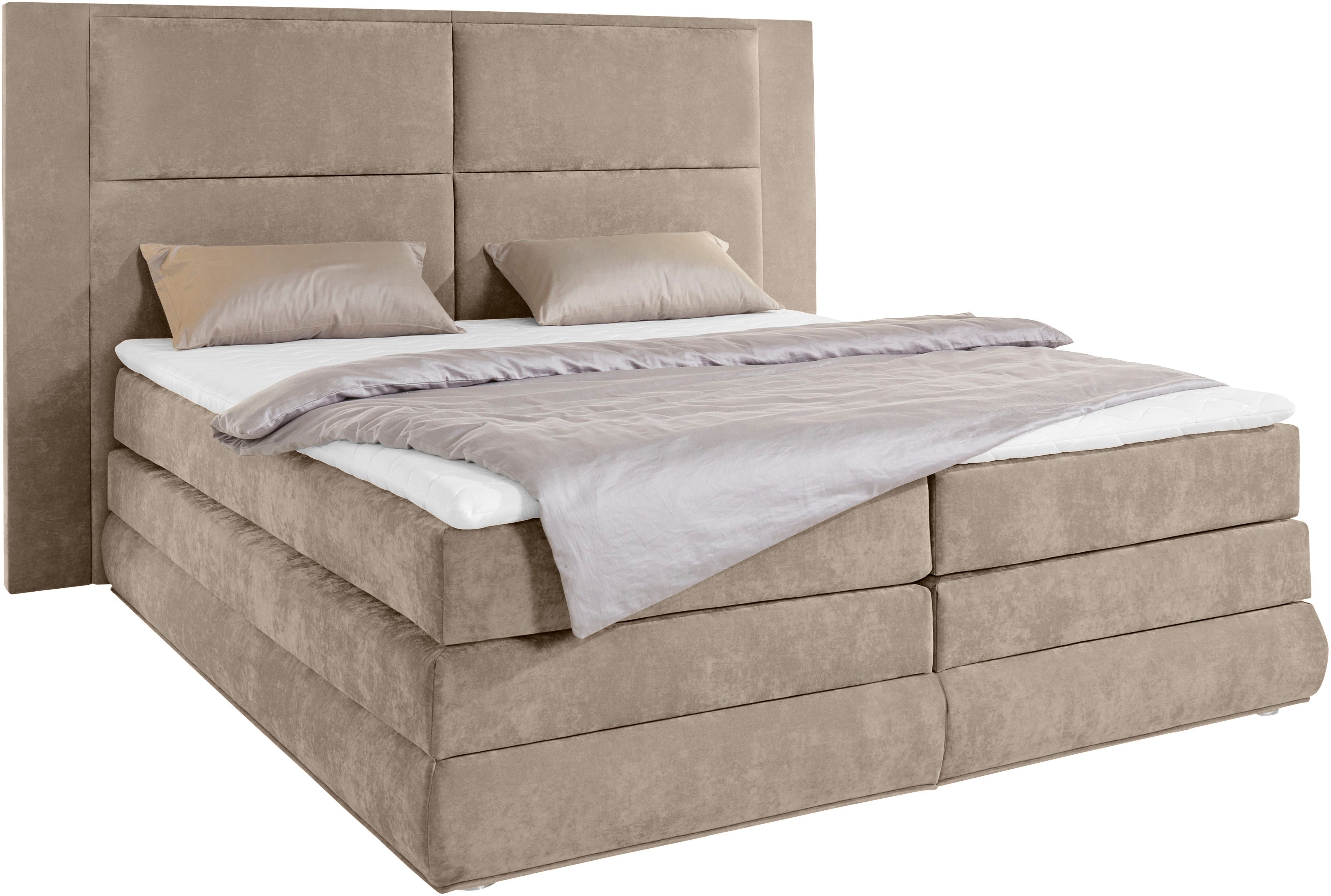 COLLECTION AB Boxspringbett Copenhagen, inklusive Bettkasten, günstig online kaufen