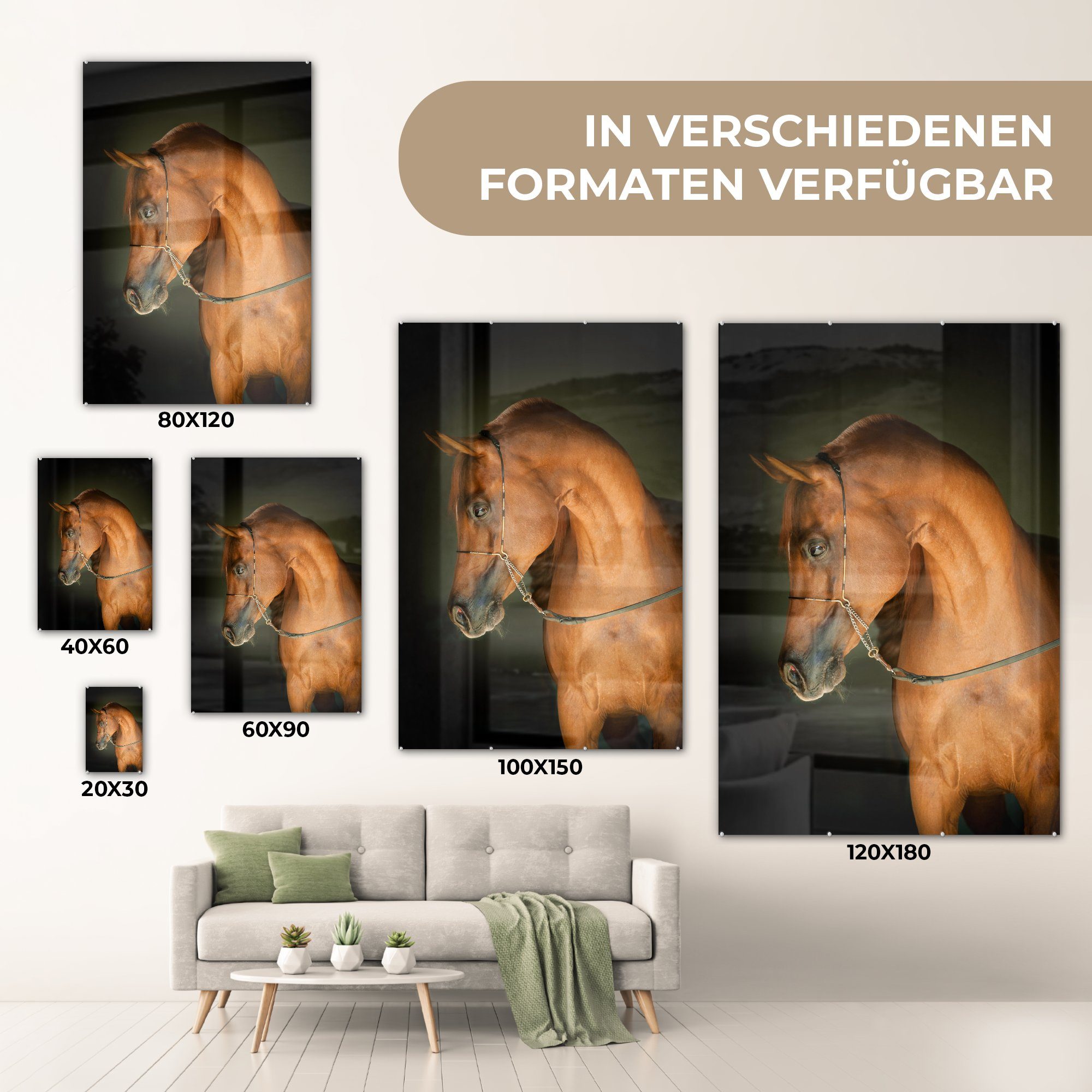 MuchoWow Acrylglasbild Pferd - Braun - Foto Glas Wandbild Schwarz, Bilder Glasbilder auf - St), (1 Wanddekoration auf - - Glas