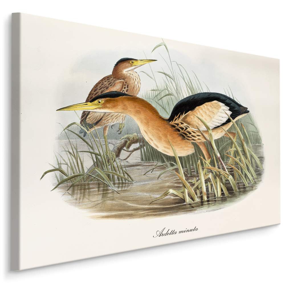 Muralo Leinwandbild Landschaft – Leinwandbild Wandbild Kunstdruck Wohnzimmer, Gewässer (1 St), Tiere – Vögel – Kraniche, 90 x 60 cm, aufhängefertig