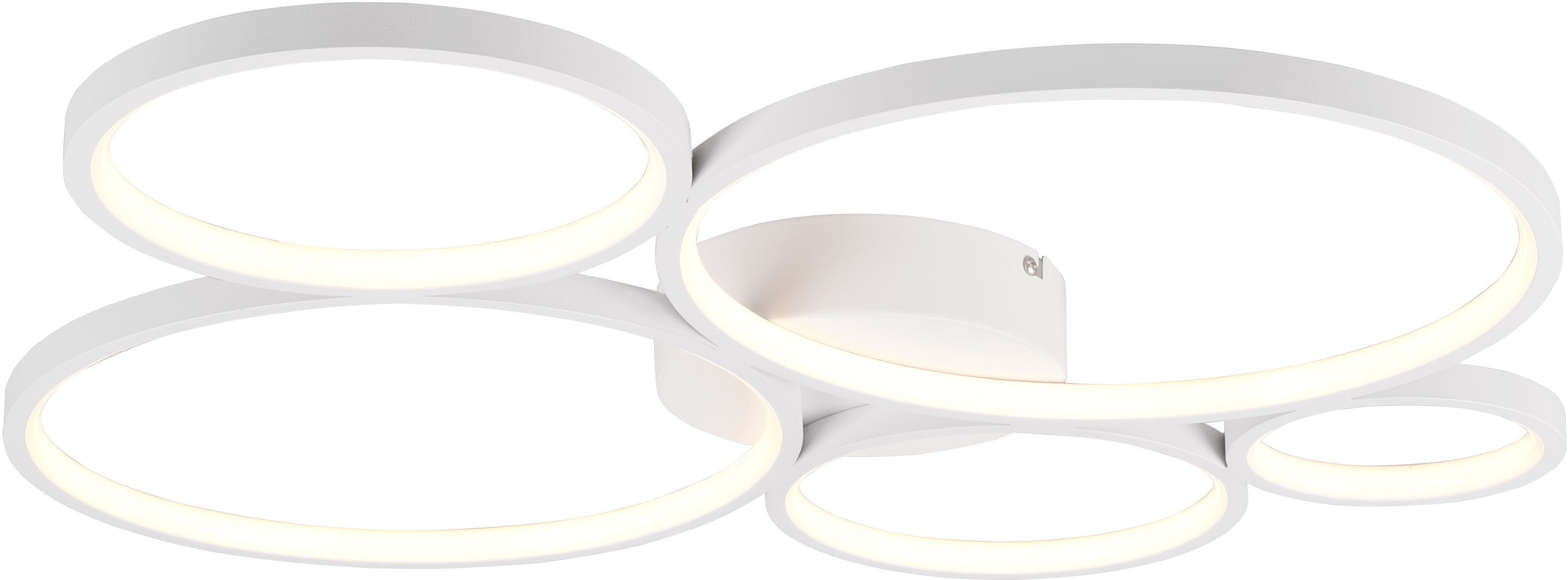 TRIO Leuchten LED Deckenleuchte Rondo, Dimmfunktion, LED fest integriert, Warmweiß, Decken- oder Wandlampe, LED warmweiß 3000K dimmbar per Wandschalter