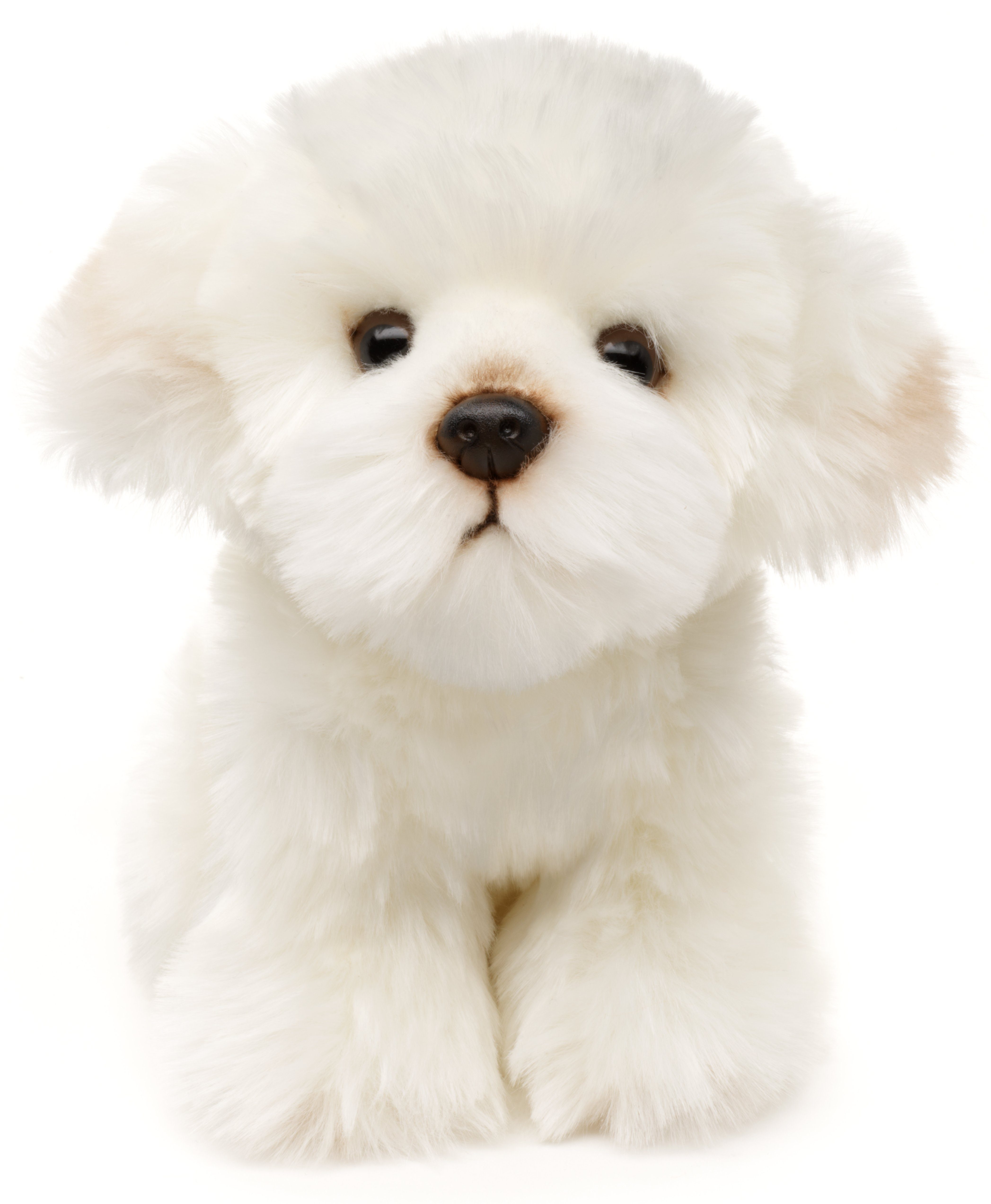 Uni-Toys Kuscheltier Malteser - 18 cm (Höhe) - Plüsch-Hund - Plüschtier, zu 100 % recyceltes Füllmaterial