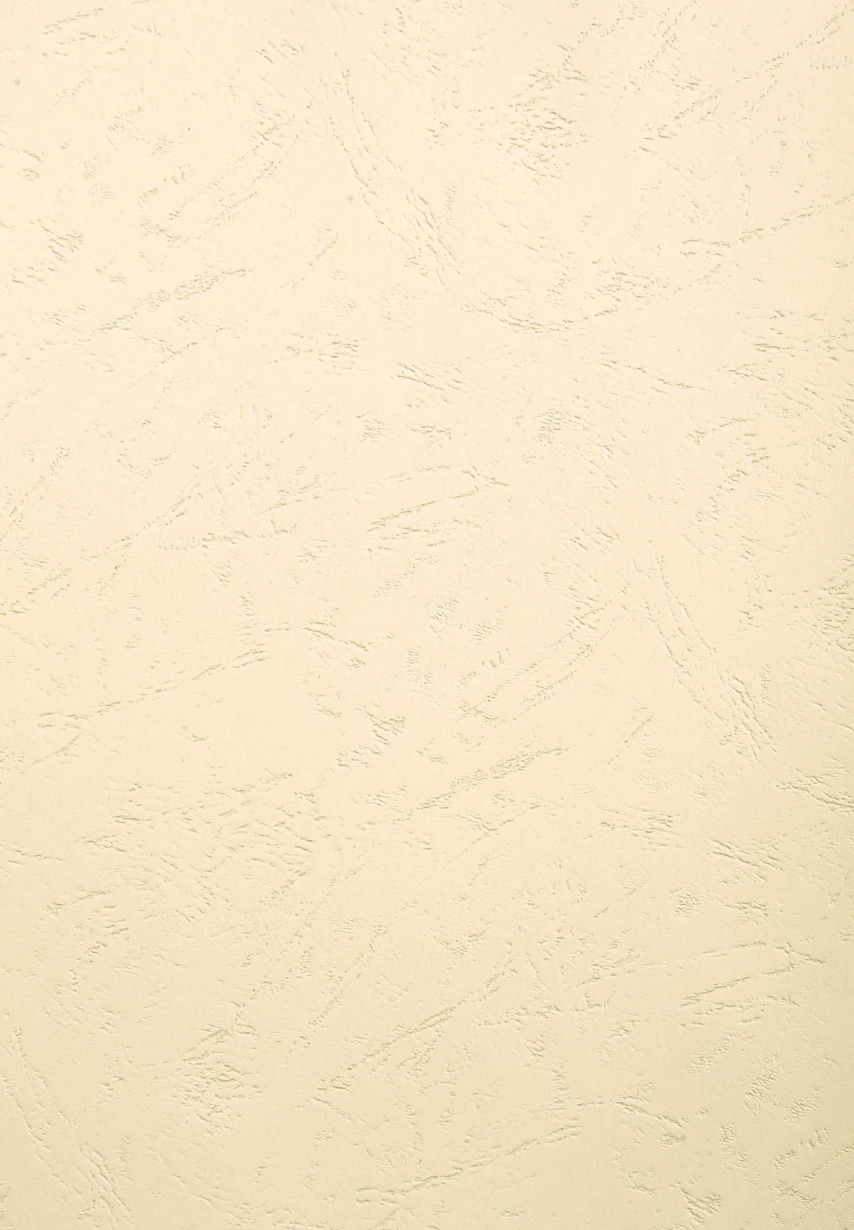 CLAIREFONTAINE Buchbindemappe 100x Einbanddeckeln Karton 270g Lederprägung A3 Elfenbein 2785C, DIN A3 Deckel, (