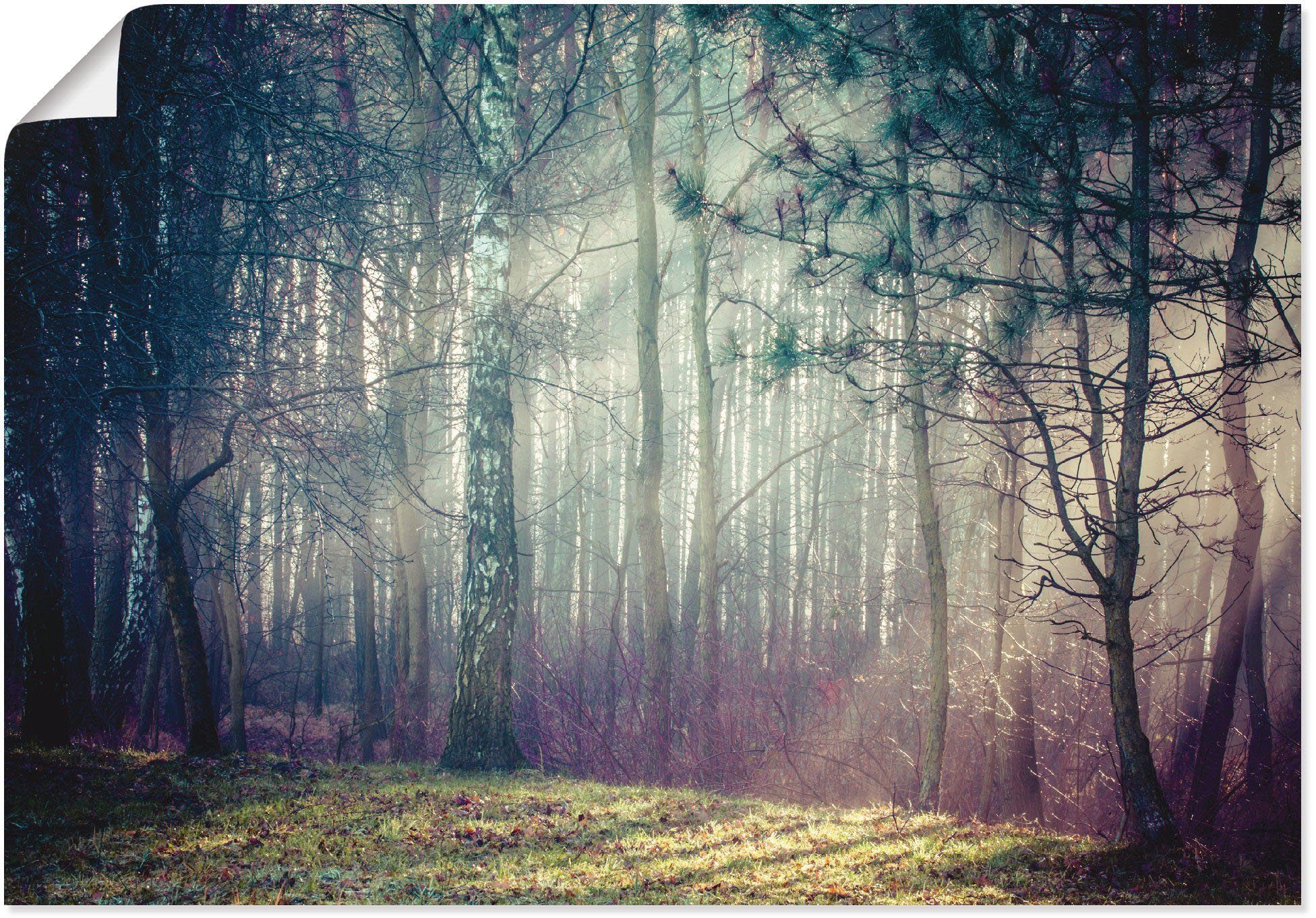 Artland Wandbild Sonnenstrahlen im Wald, Waldbilder (1 St), als Alubild, Leinwandbild, Wandaufkleber oder Poster in versch. Größen