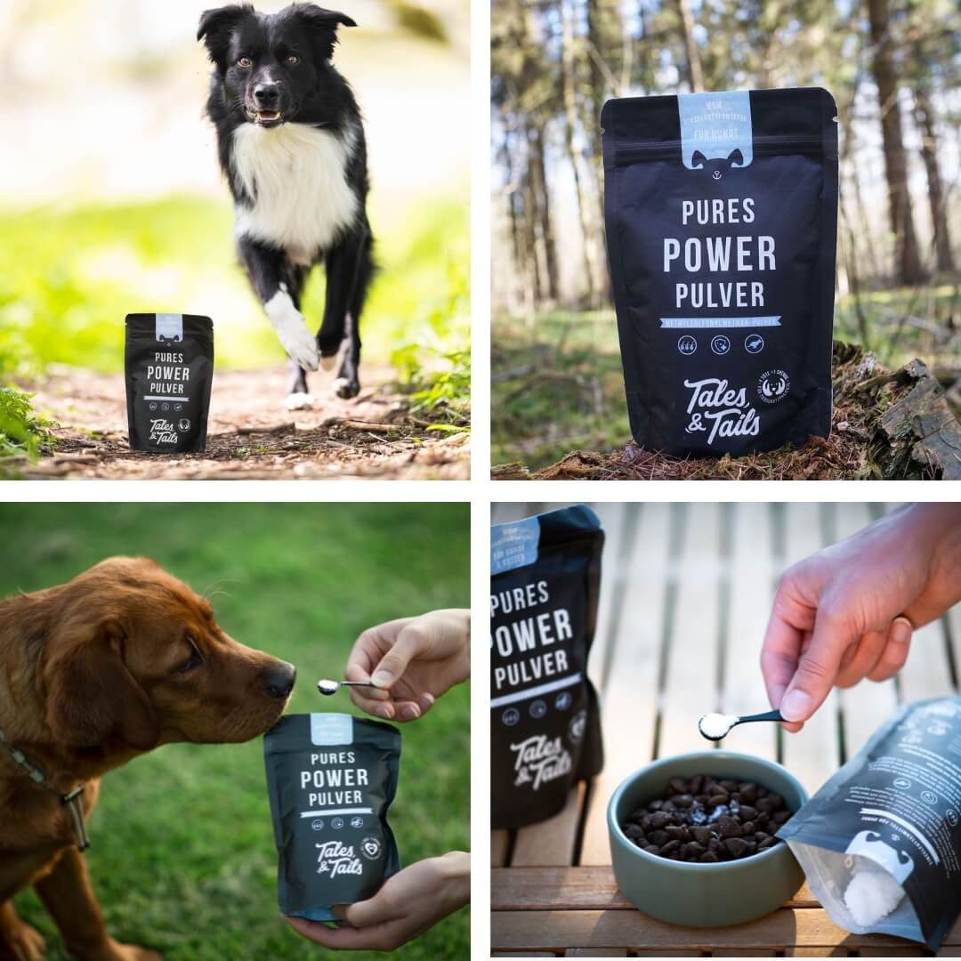 Tales & Tails MSM-Pulver Pures Power Pulver, Nahrungsergänzungsmittel für: Hunde