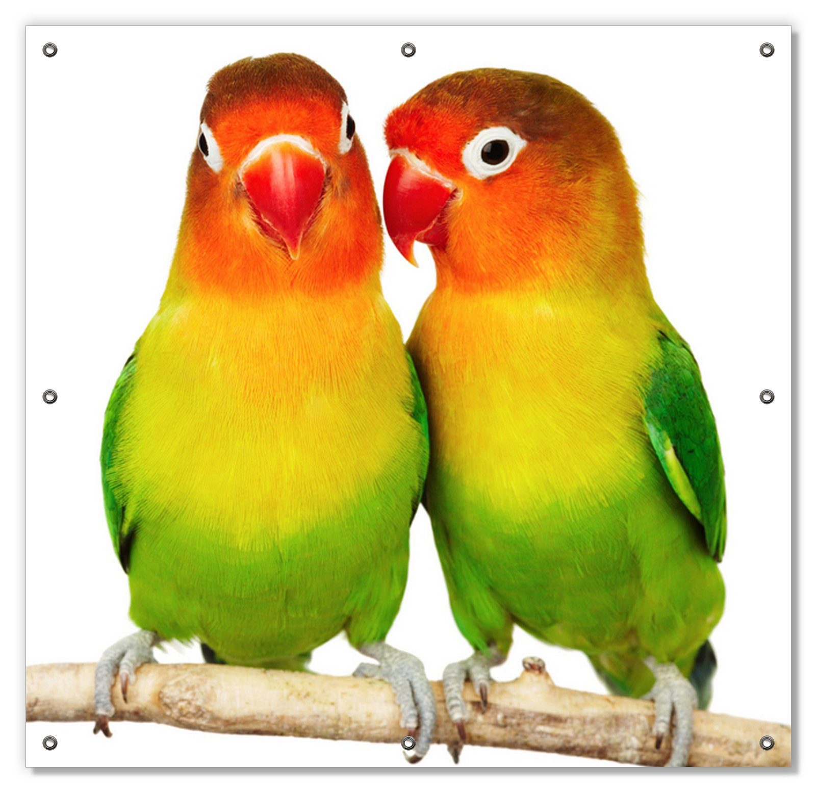 Sonnenschutz Papageien auf dem dünnen mit Saugnäpfen, wiederverwendbar Ast, und blickdicht, Wallario, wiederablösbar