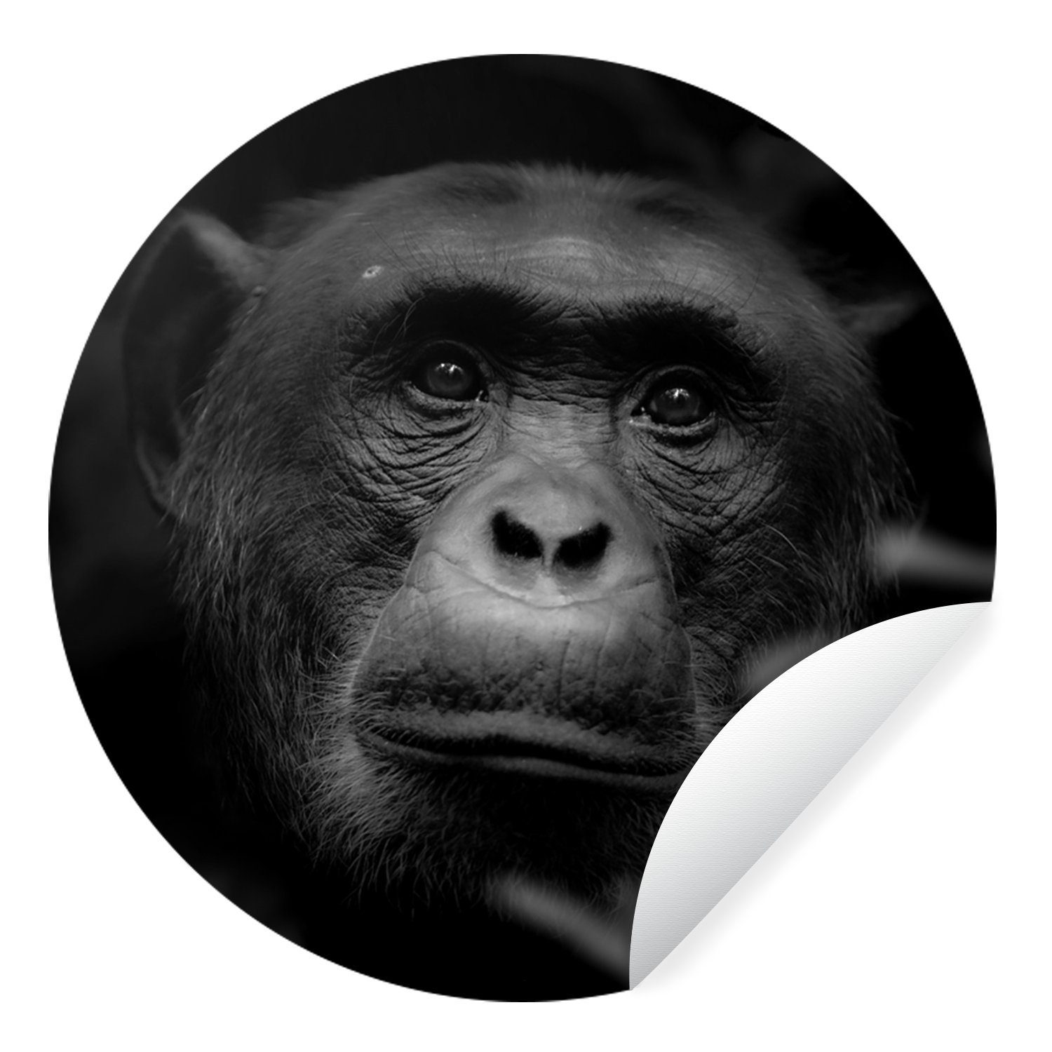 MuchoWow Wandsticker Tiere - Affe - Dschungel - Schwarz - Weiß (1 St), Tapetenkreis für Kinderzimmer, Tapetenaufkleber, Rund, Wohnzimmer