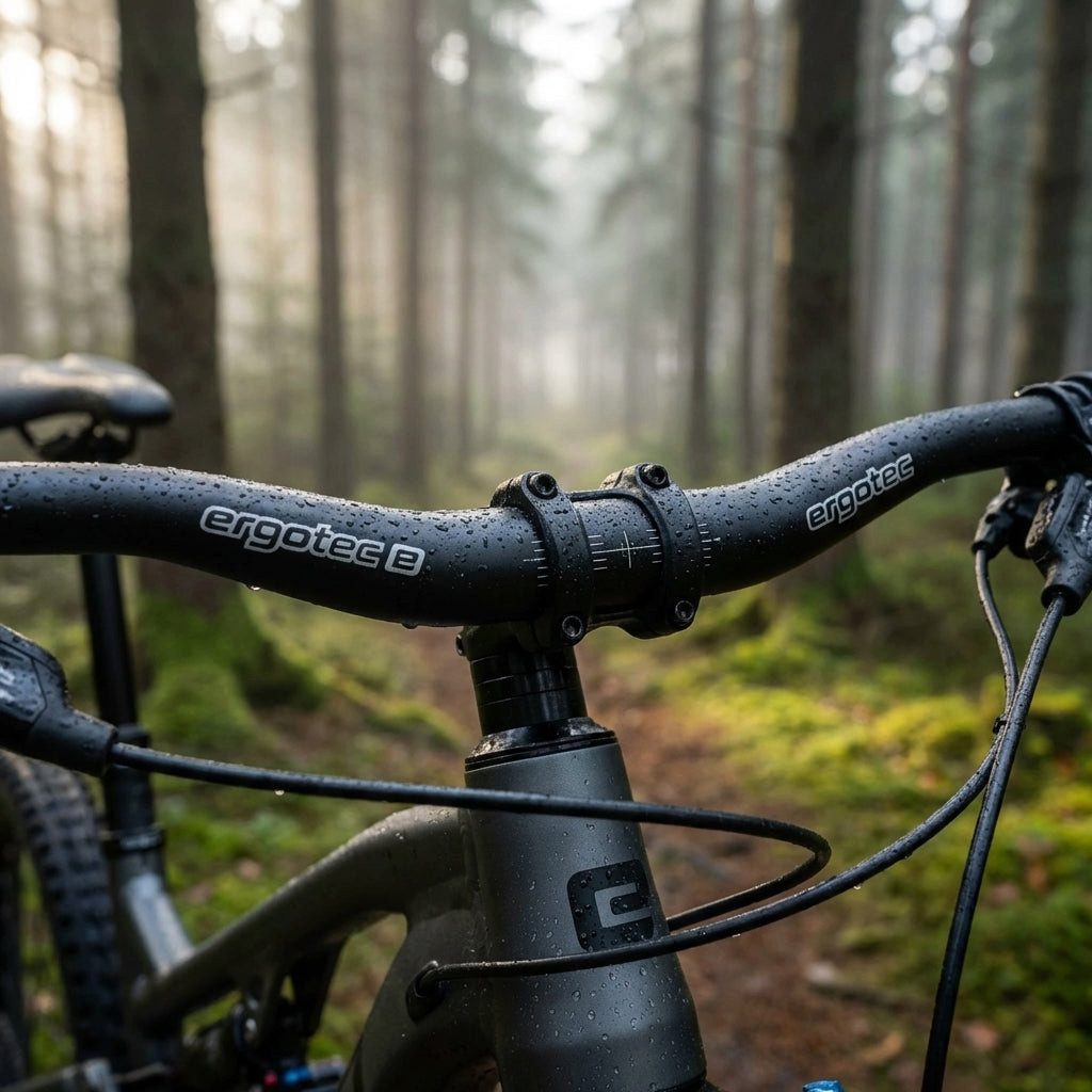 Fahrradlenker Ergotec Lenkerbügel Low Riser Alu Ø 31,8 mm 720 mm schwarz/matt 9°