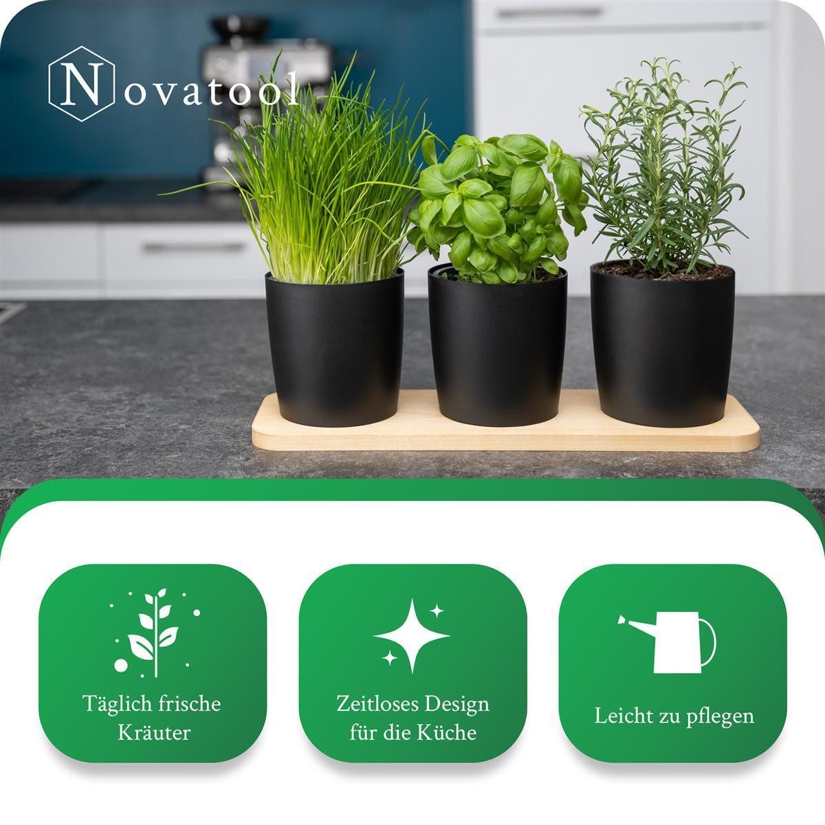 Novaliv Kräutertopf - (2 St), 2x günstig online kaufen